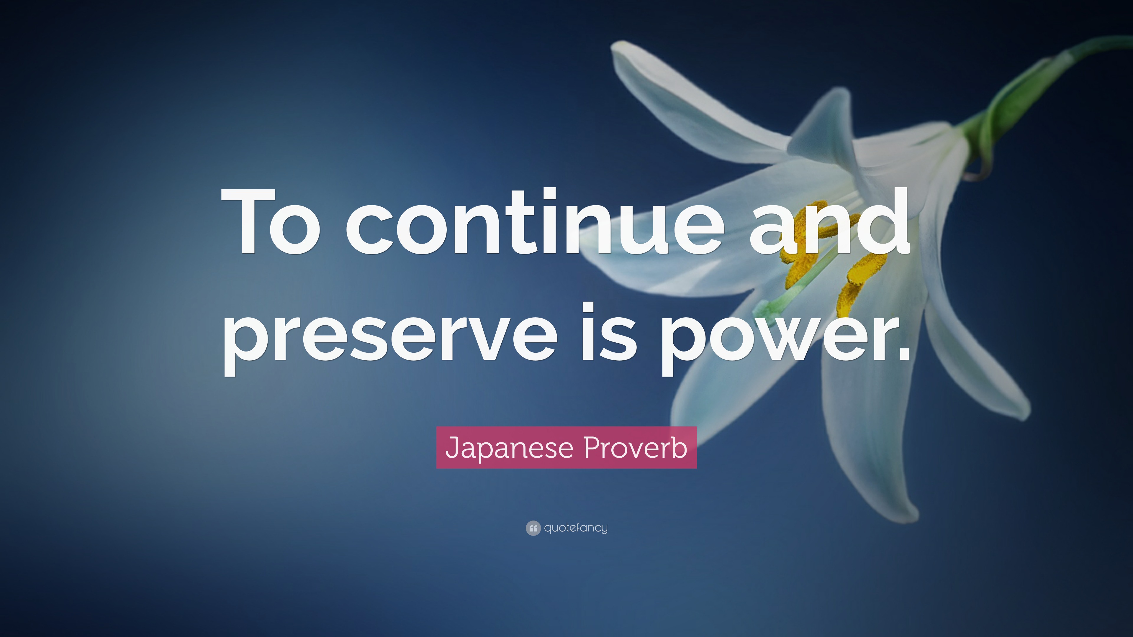 Japanese Proverb Quote “To continue and preserve is power.”