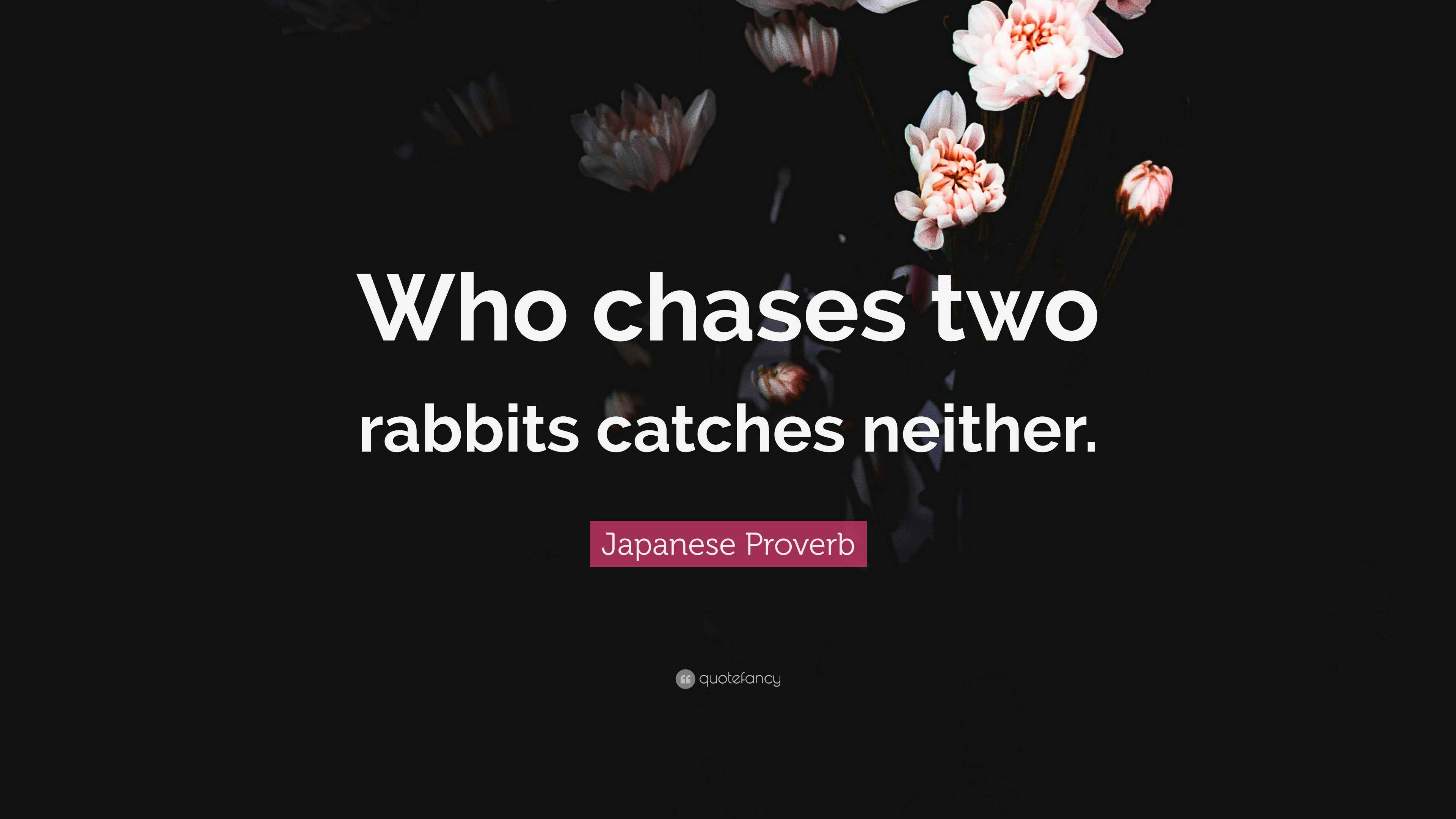 Japanese Proverb Quote “Who chases two rabbits catches neither.”