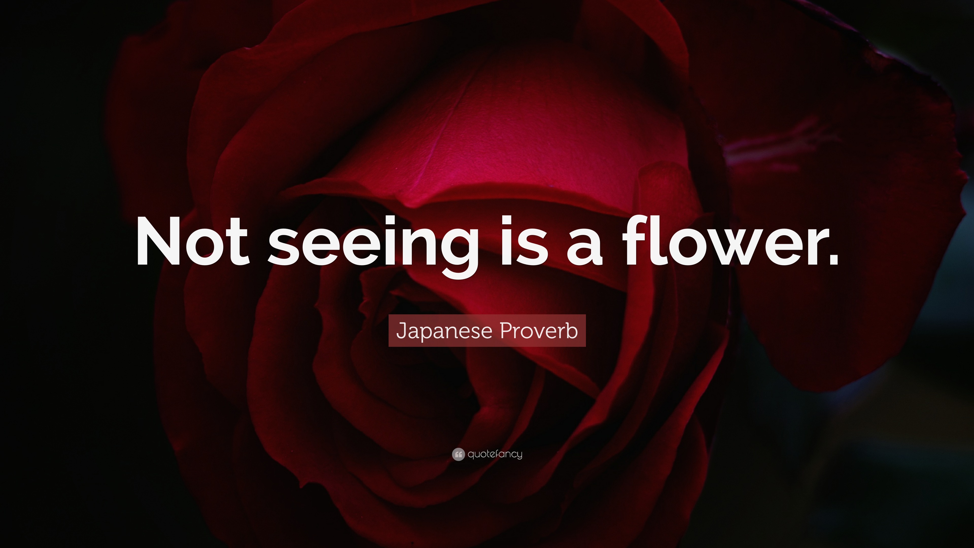 Japanese Proverb Quote “Not seeing is a flower.”