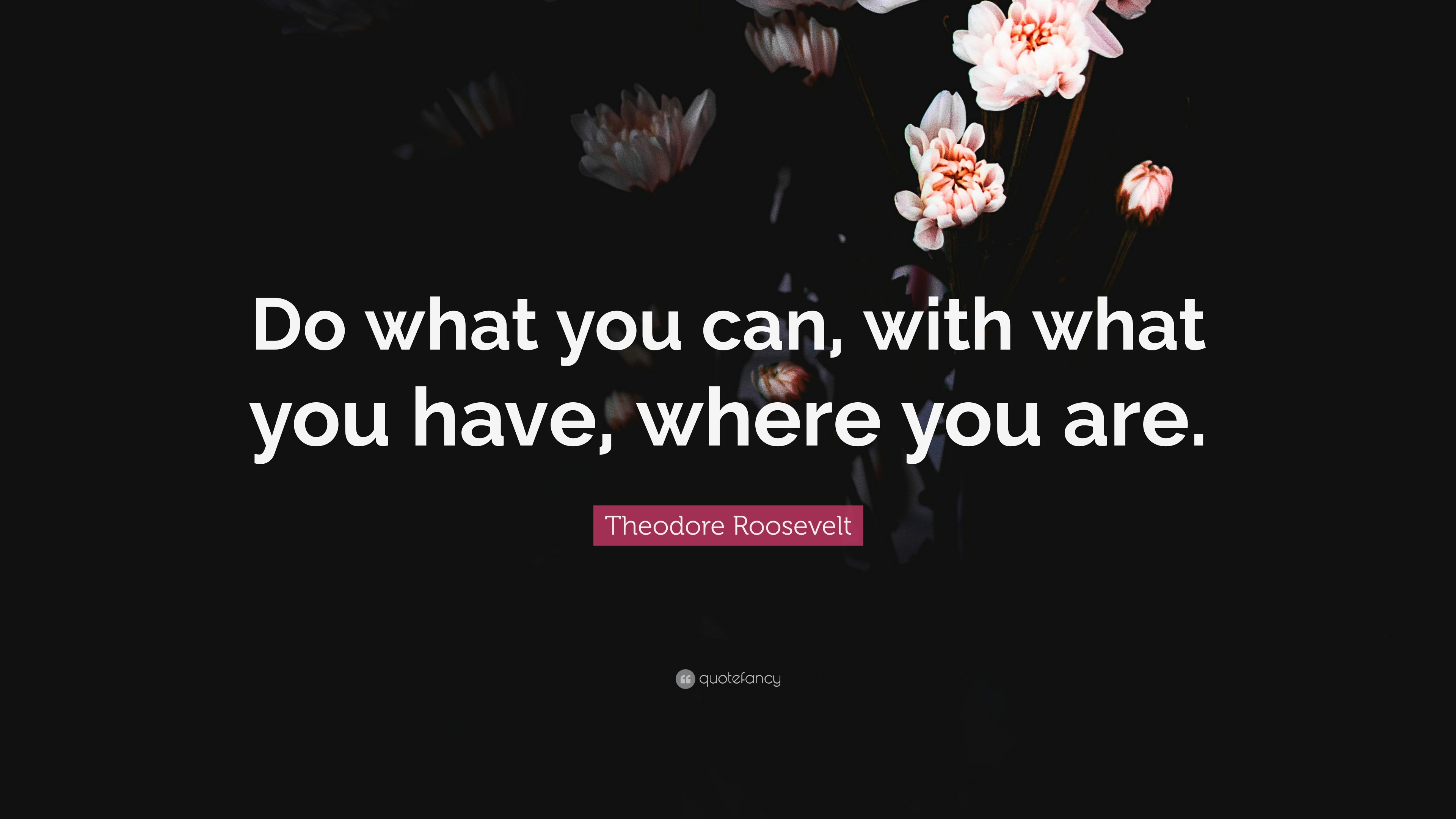 Theodore Roosevelt Quote: “Do what you can, with what you have, where ...