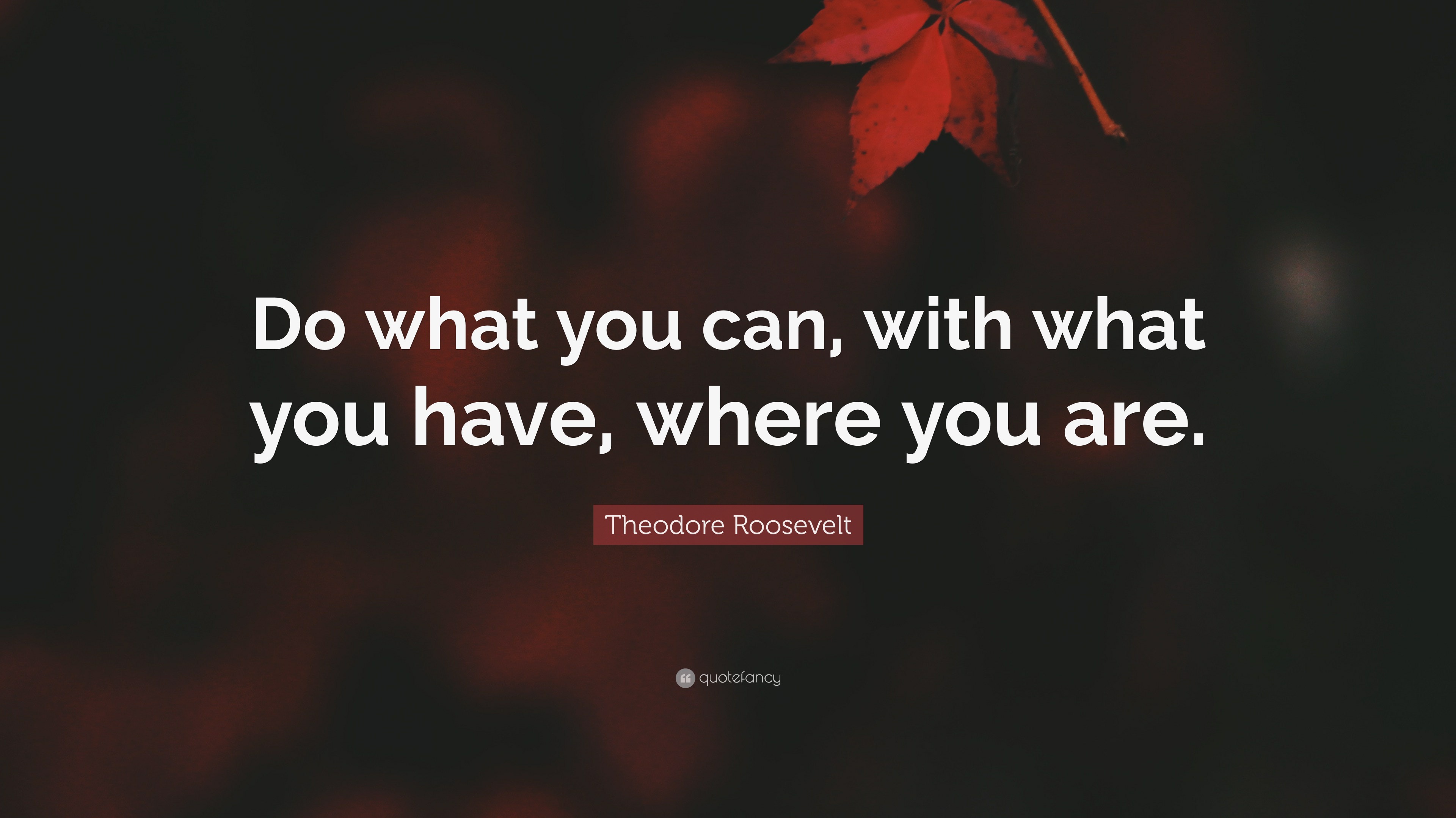 Theodore Roosevelt Quote: “Do what you can, with what you have, where ...