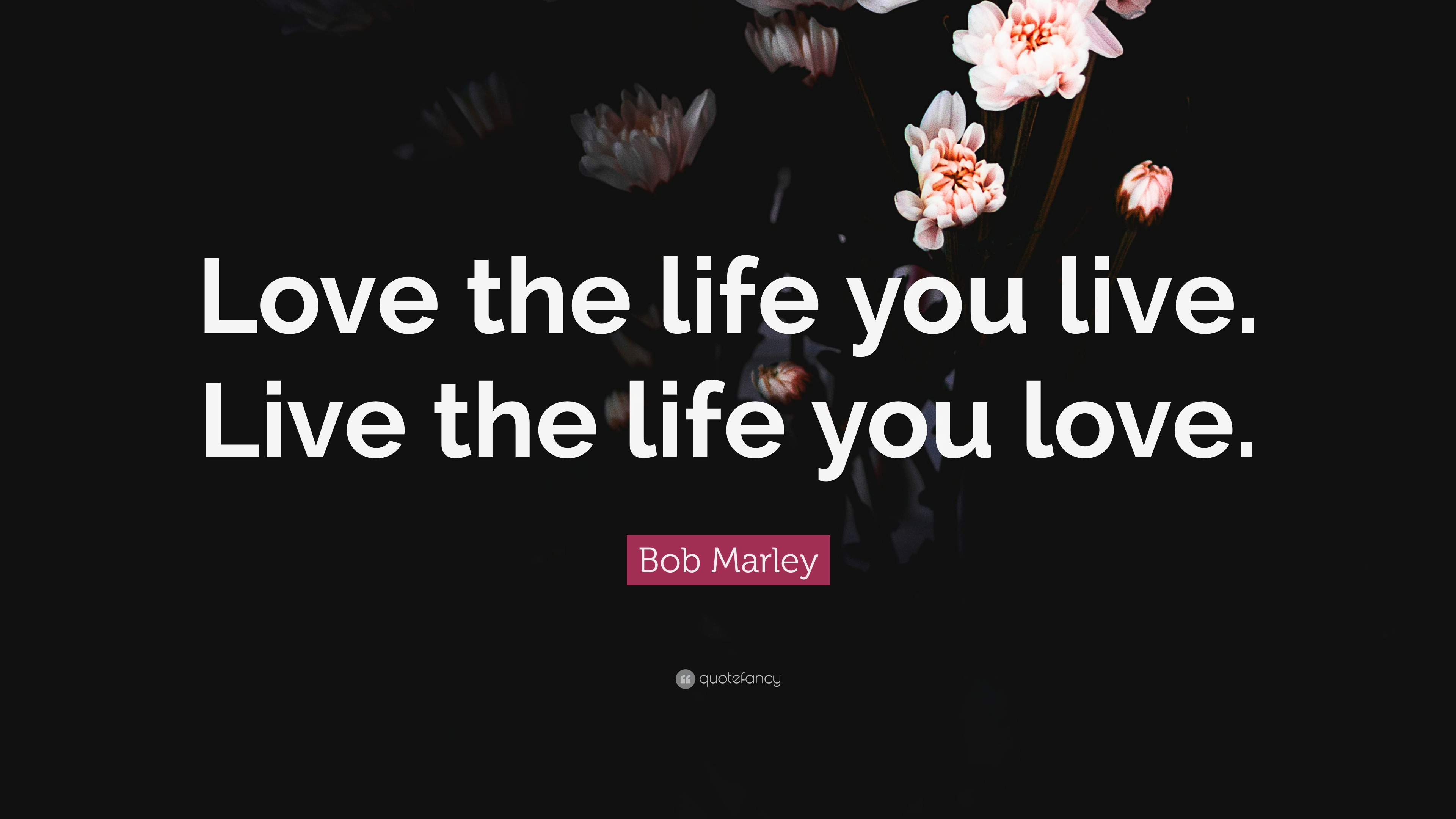 Bob Marley Quote: “Love the life you live. Live the life you love.”