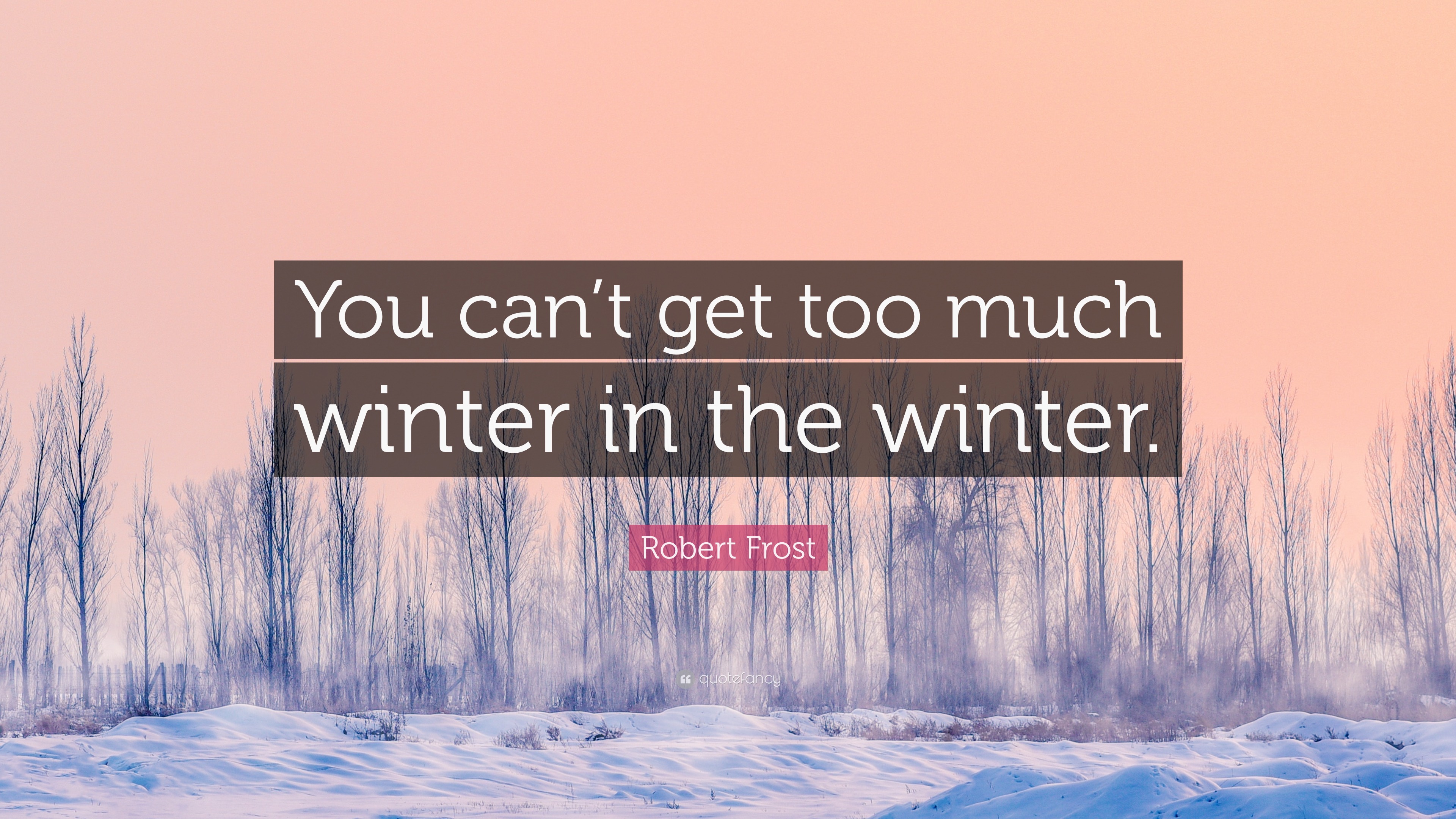 Robert Frost Quote: “You can’t get too much winter in the winter.”