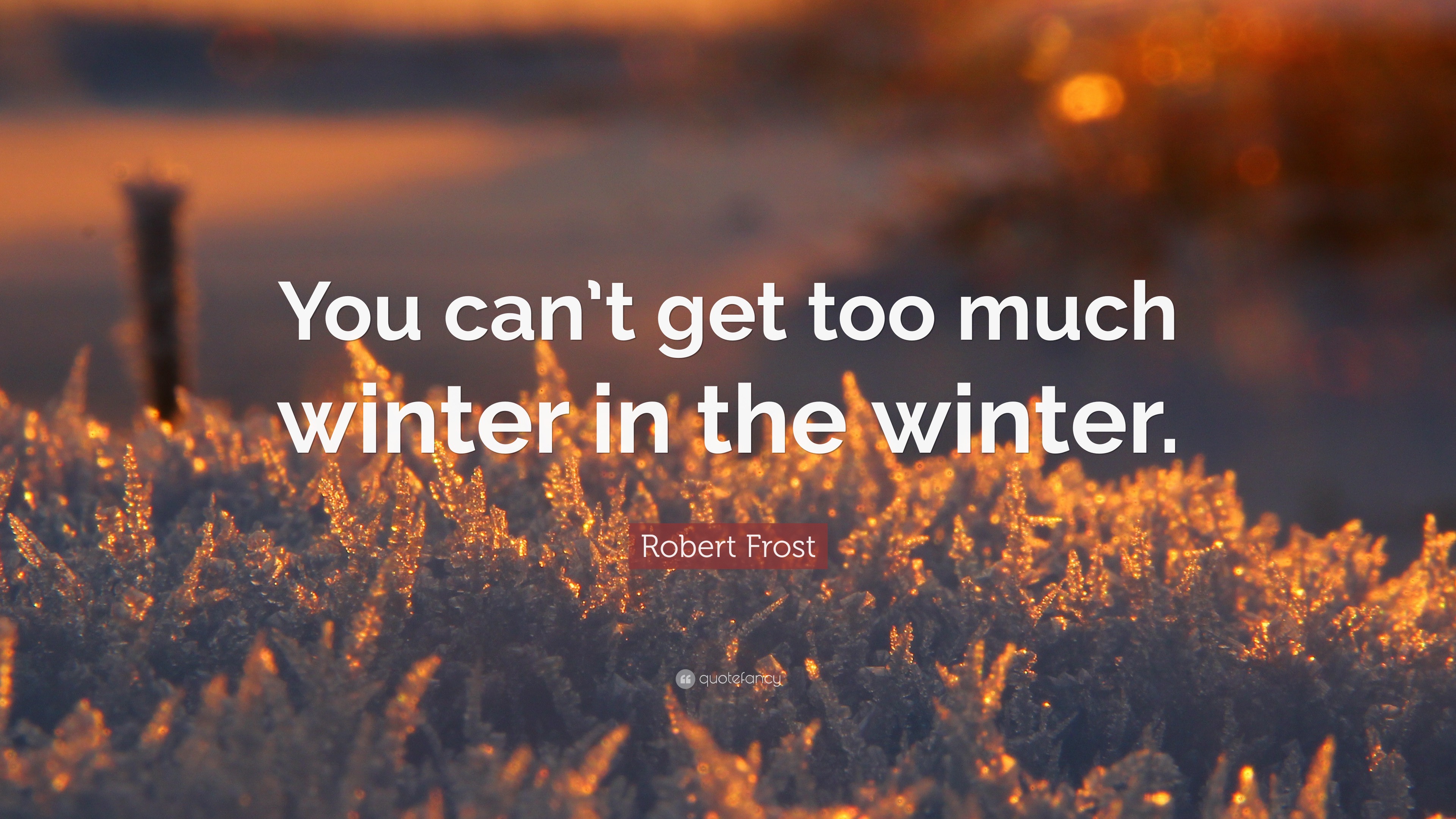 Robert Frost Quote: “You can’t get too much winter in the winter.”