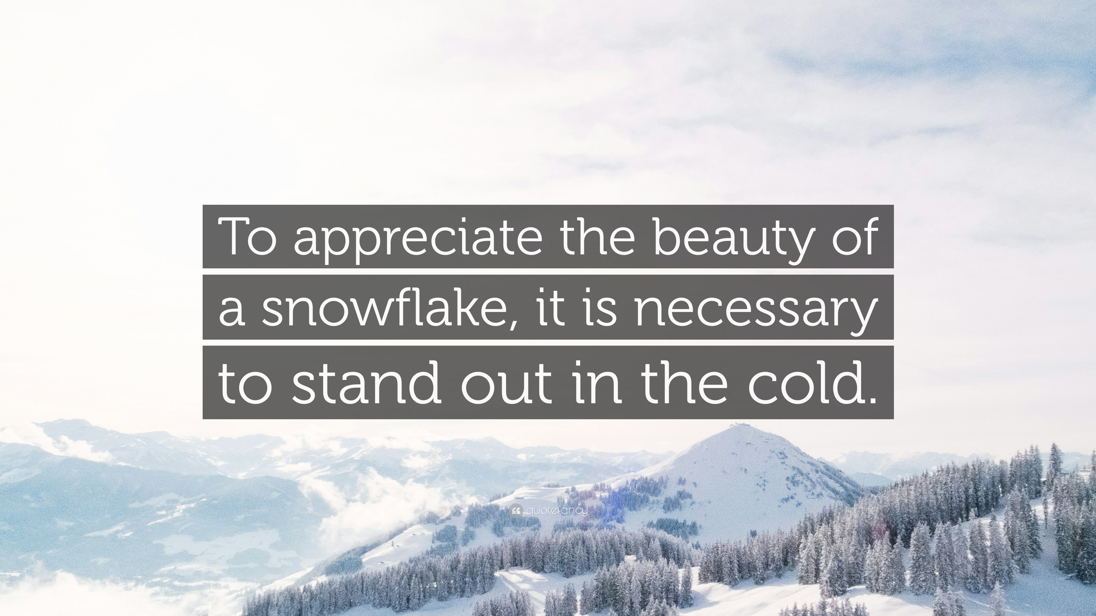 “To appreciate the beauty of a snowflake, it is necessary to stand out ...