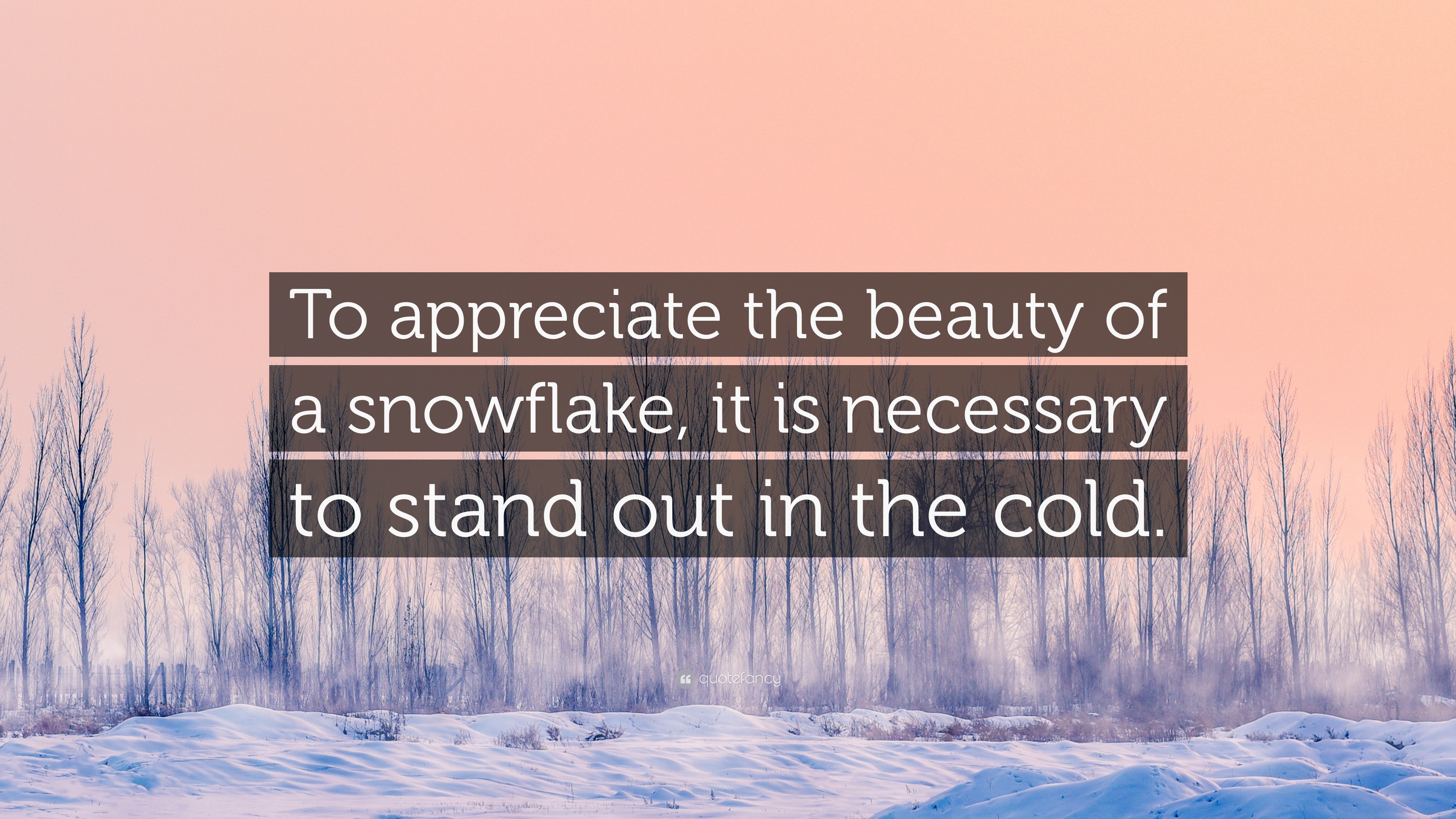 “to Appreciate The Beauty Of A Snowflake, It Is Necessary To Stand Out 