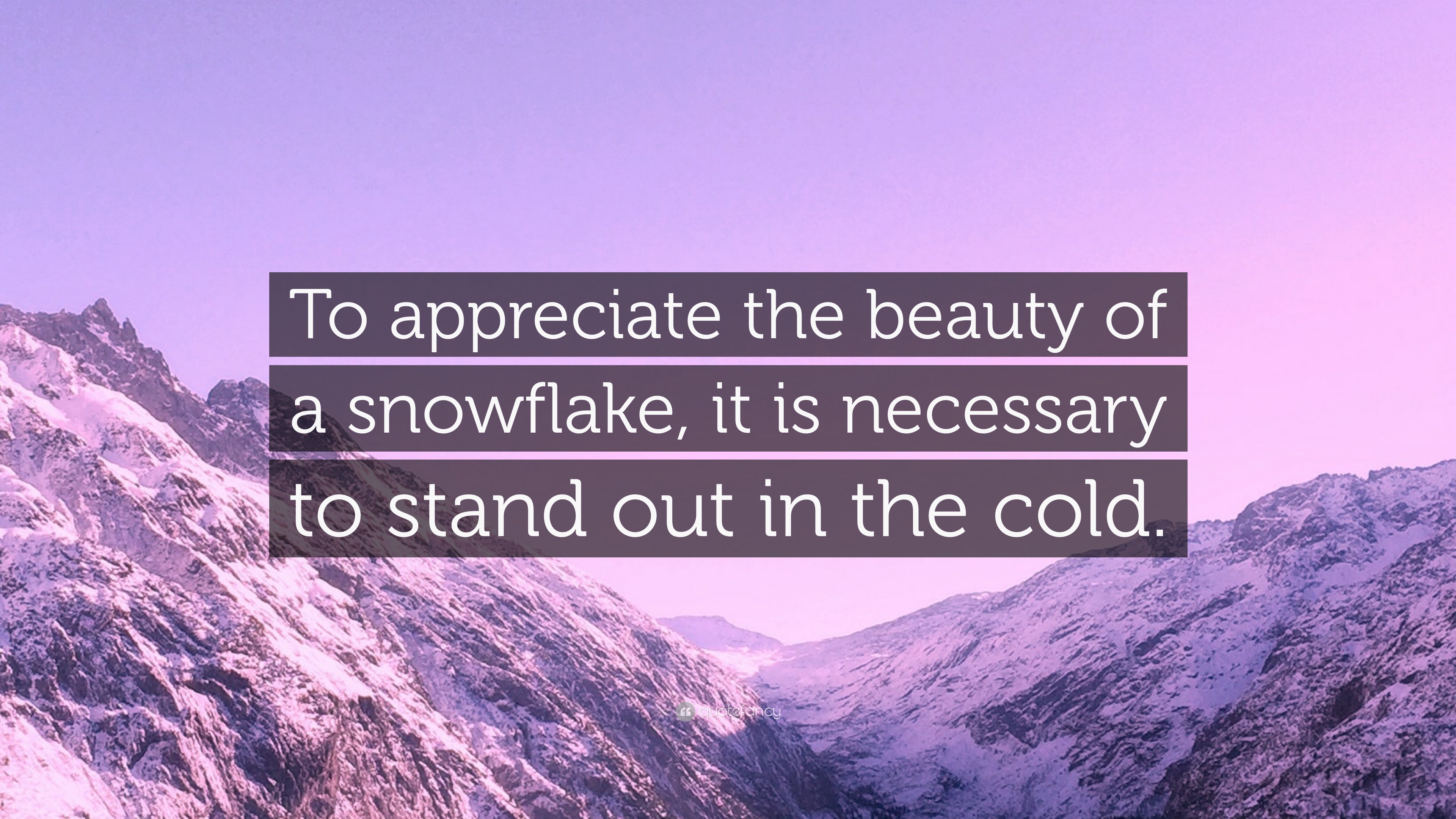 “To appreciate the beauty of a snowflake, it is necessary to stand out