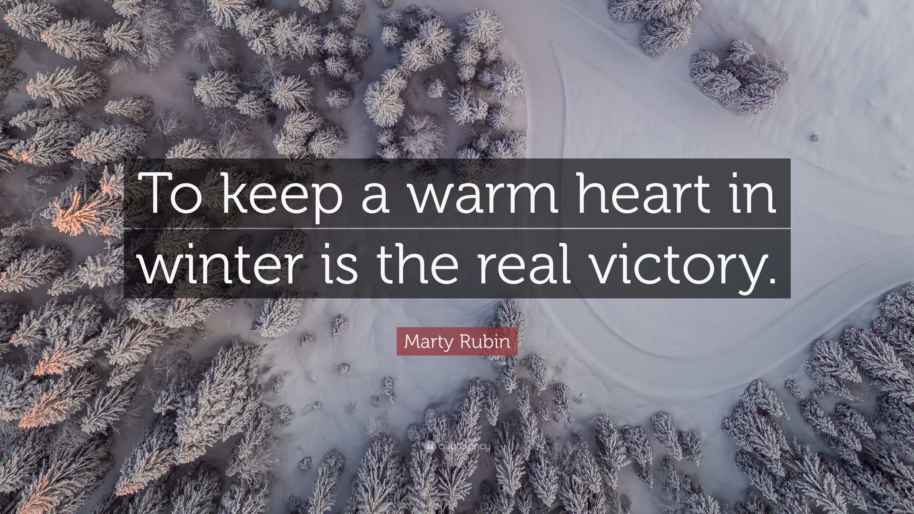 Cozy Winter Quotes That Will Warm Your Heart - Phillips Mallard