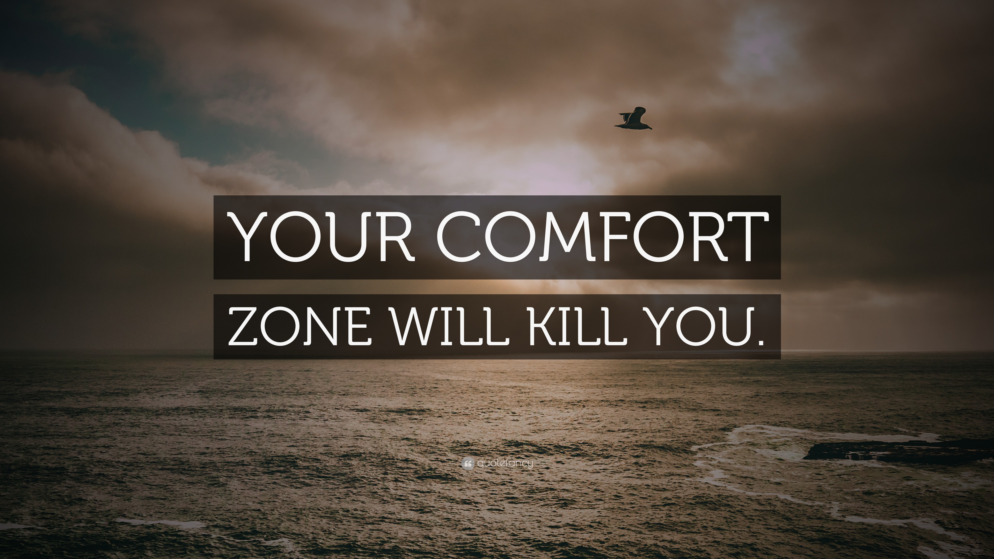 “YOUR COMFORT ZONE WILL KILL YOU.” Wallpaper by QuoteFancy