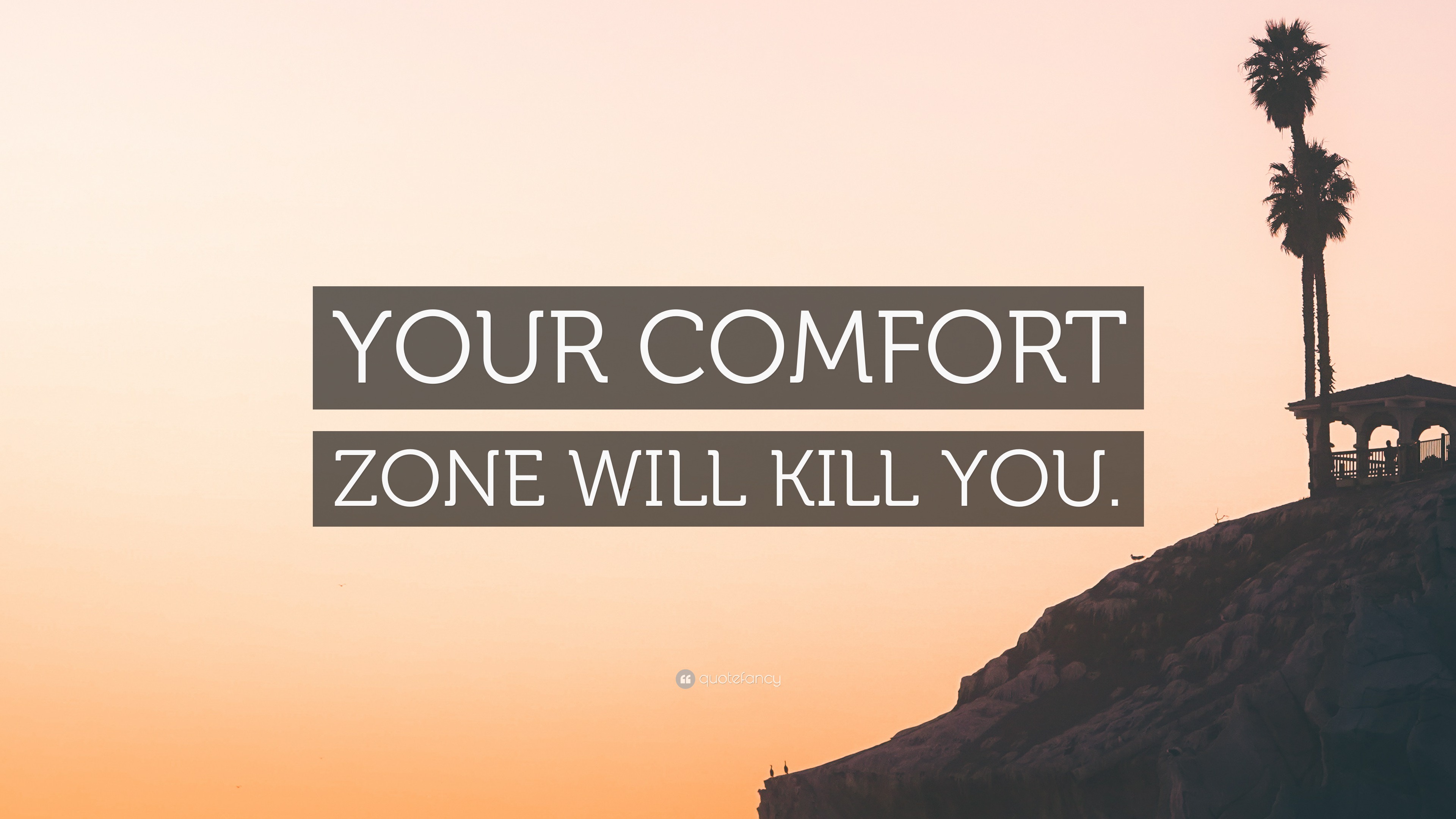 “YOUR COMFORT ZONE WILL KILL YOU.” Wallpaper by QuoteFancy