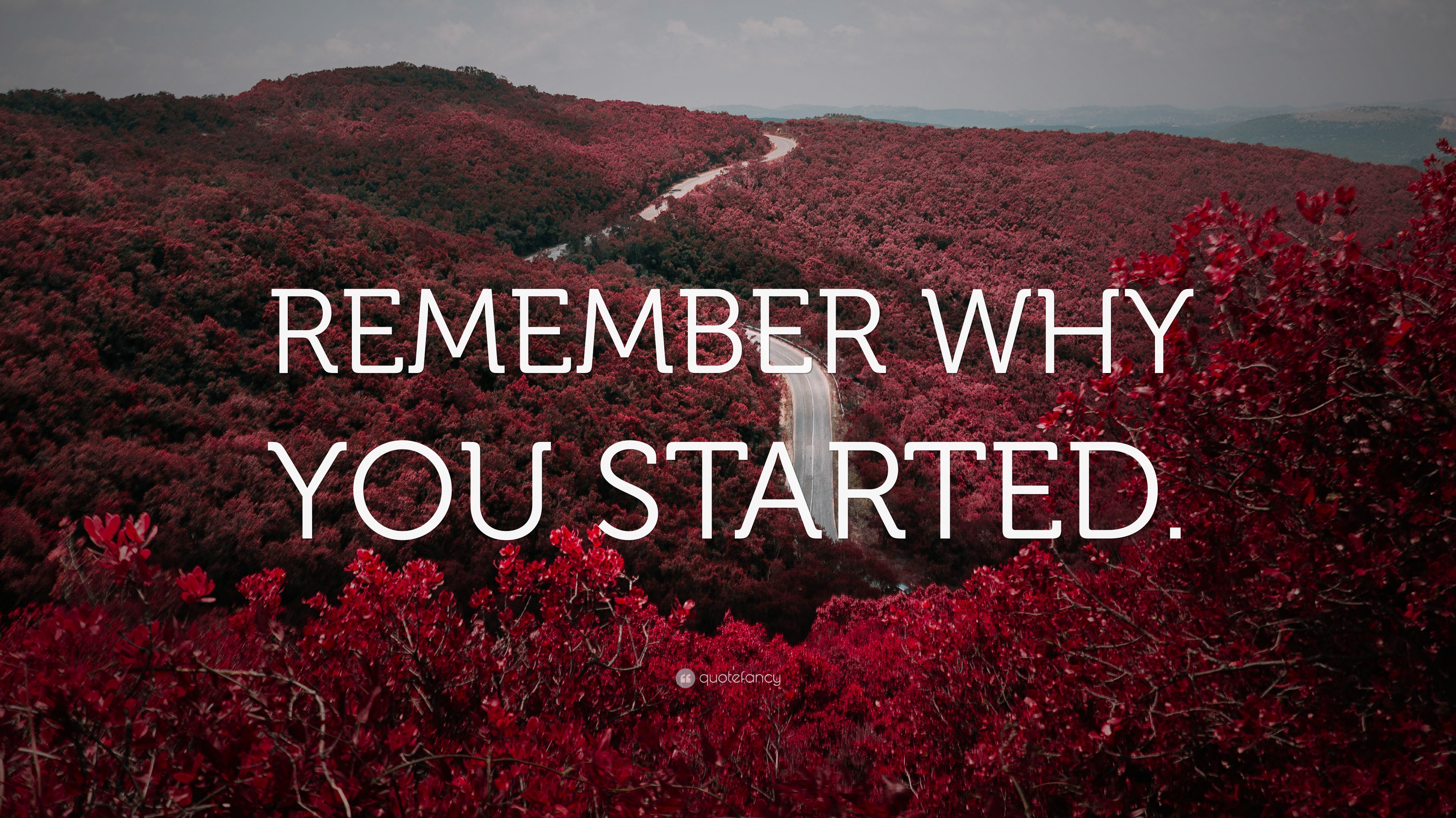 “REMEMBER WHY YOU STARTED.” Wallpaper by QuoteFancy