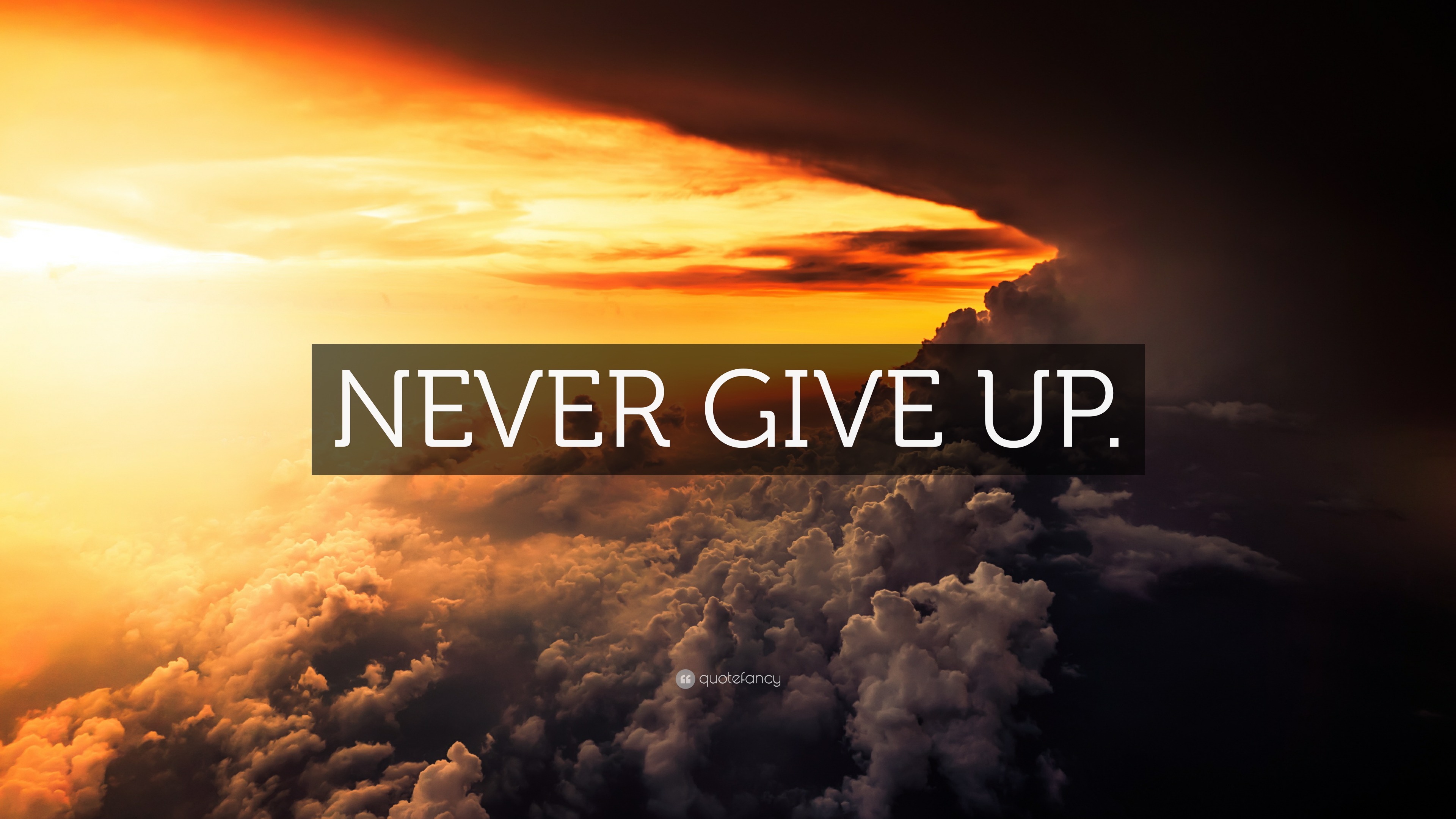 “NEVER GIVE UP.” Wallpaper by QuoteFancy