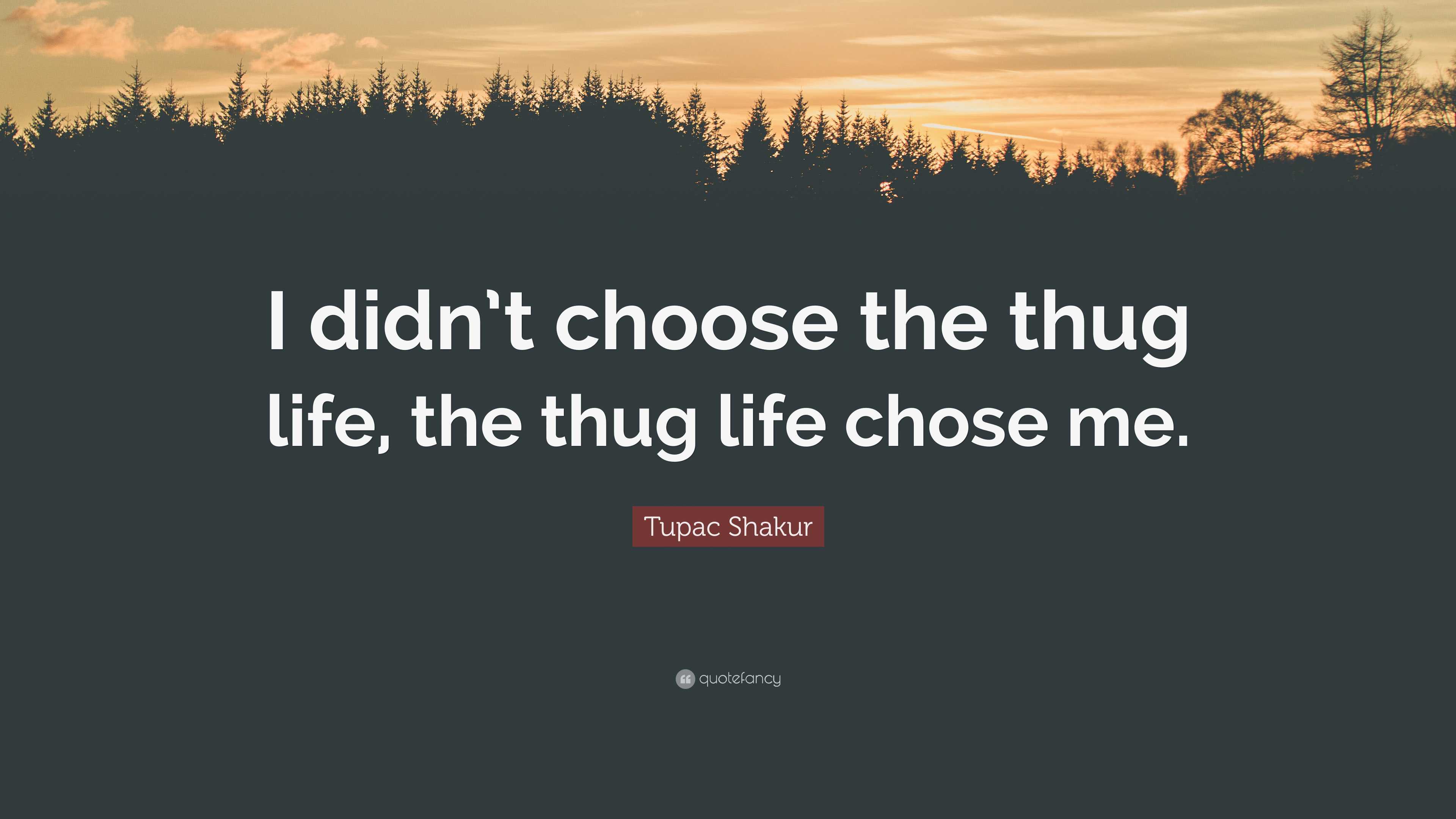 Tupac Shakur Quote: “I didn't choose the thug life, the thug life chose me.”, image size:3840x2160