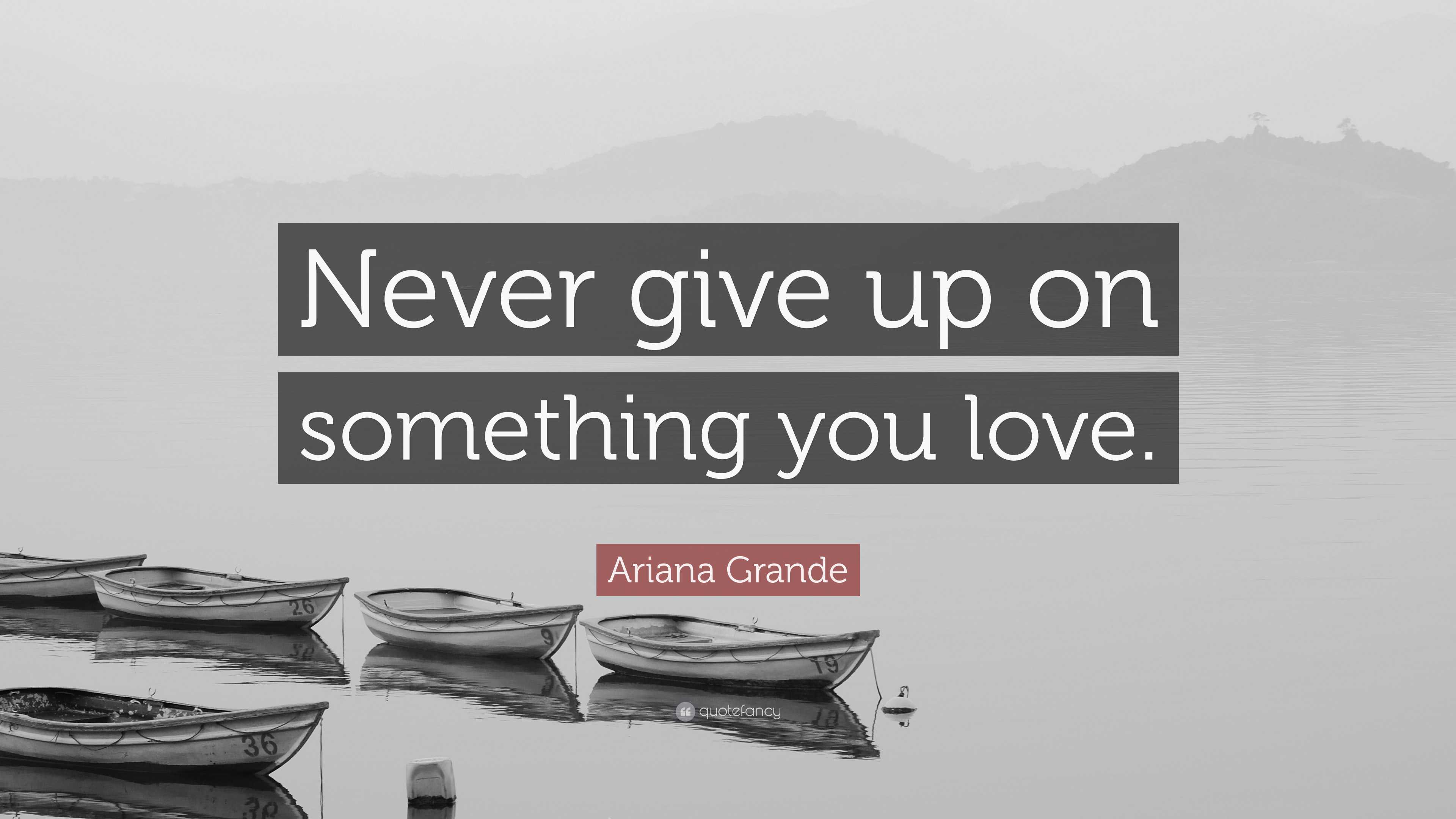 Never Give Up On Something You Love