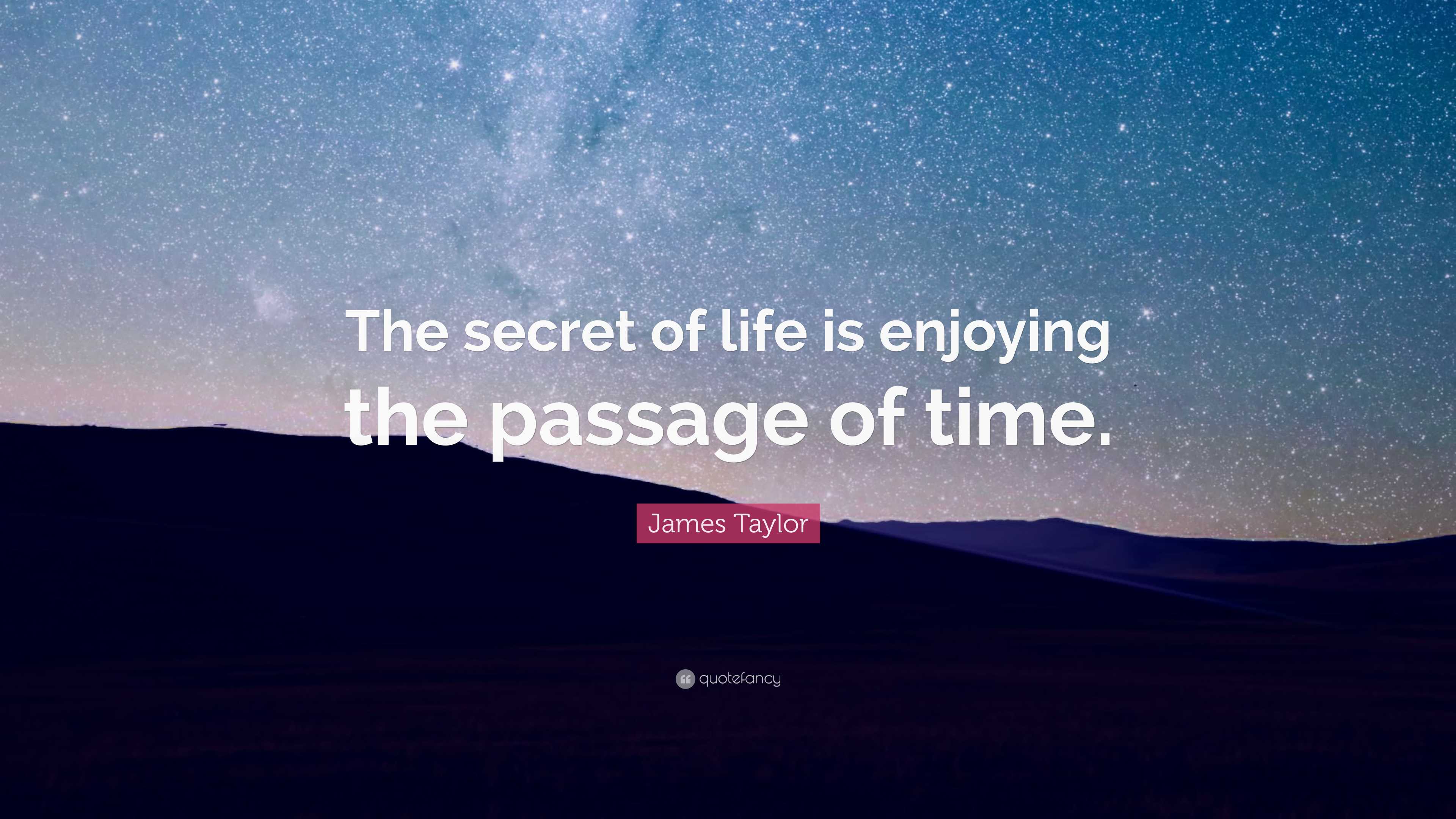 James Taylor Quote: “The secret of life is enjoying the passage of time.”