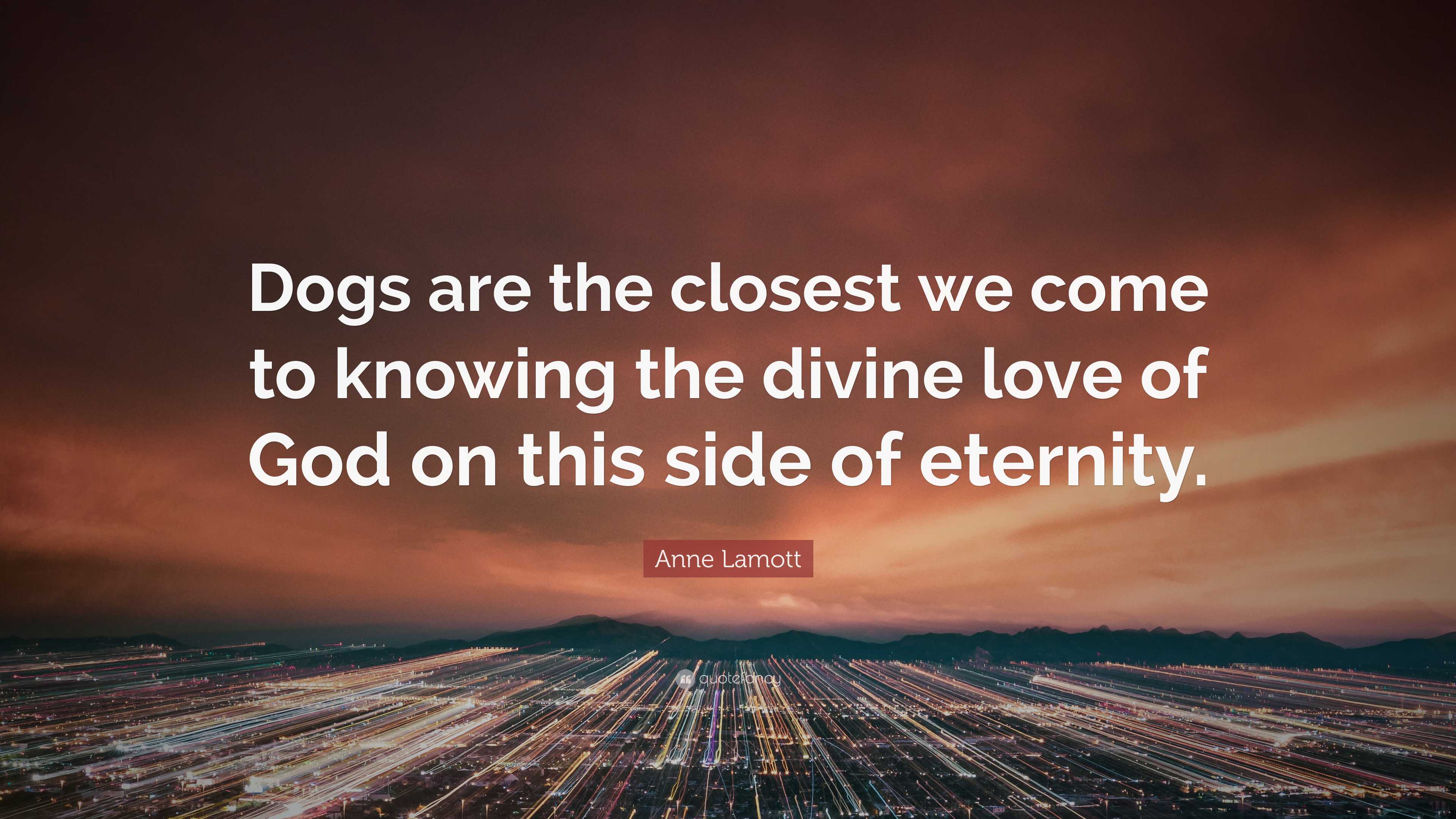 anne-lamott-quote-dogs-are-the-closest-we-come-to-knowing-the-divine