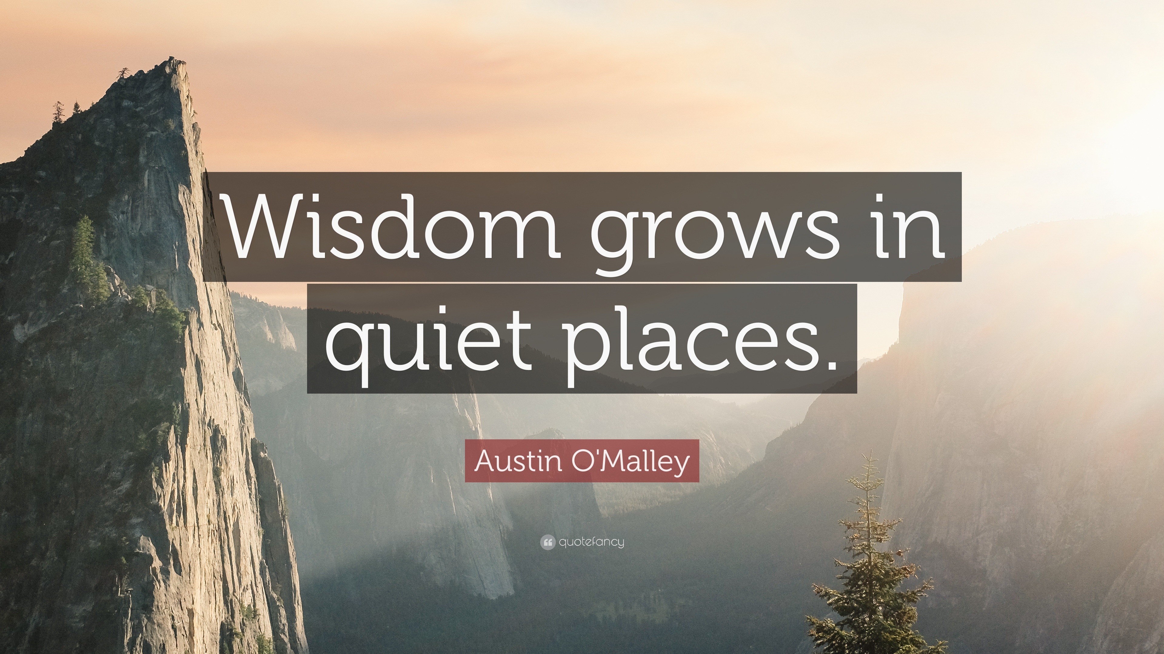 austin-o-malley-quote-wisdom-grows-in-quiet-places