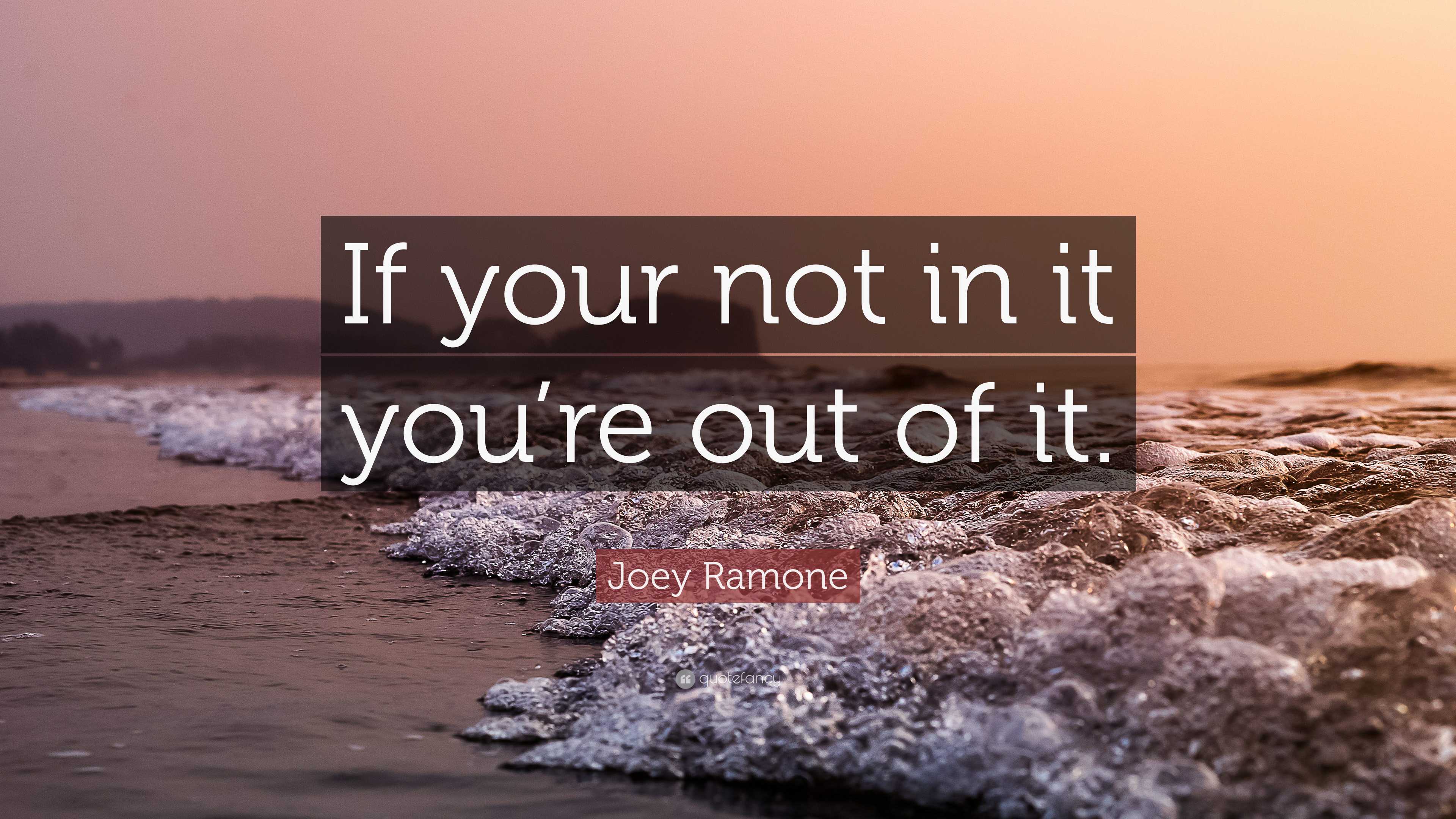 Joey Ramone Quote: “If your not in it you