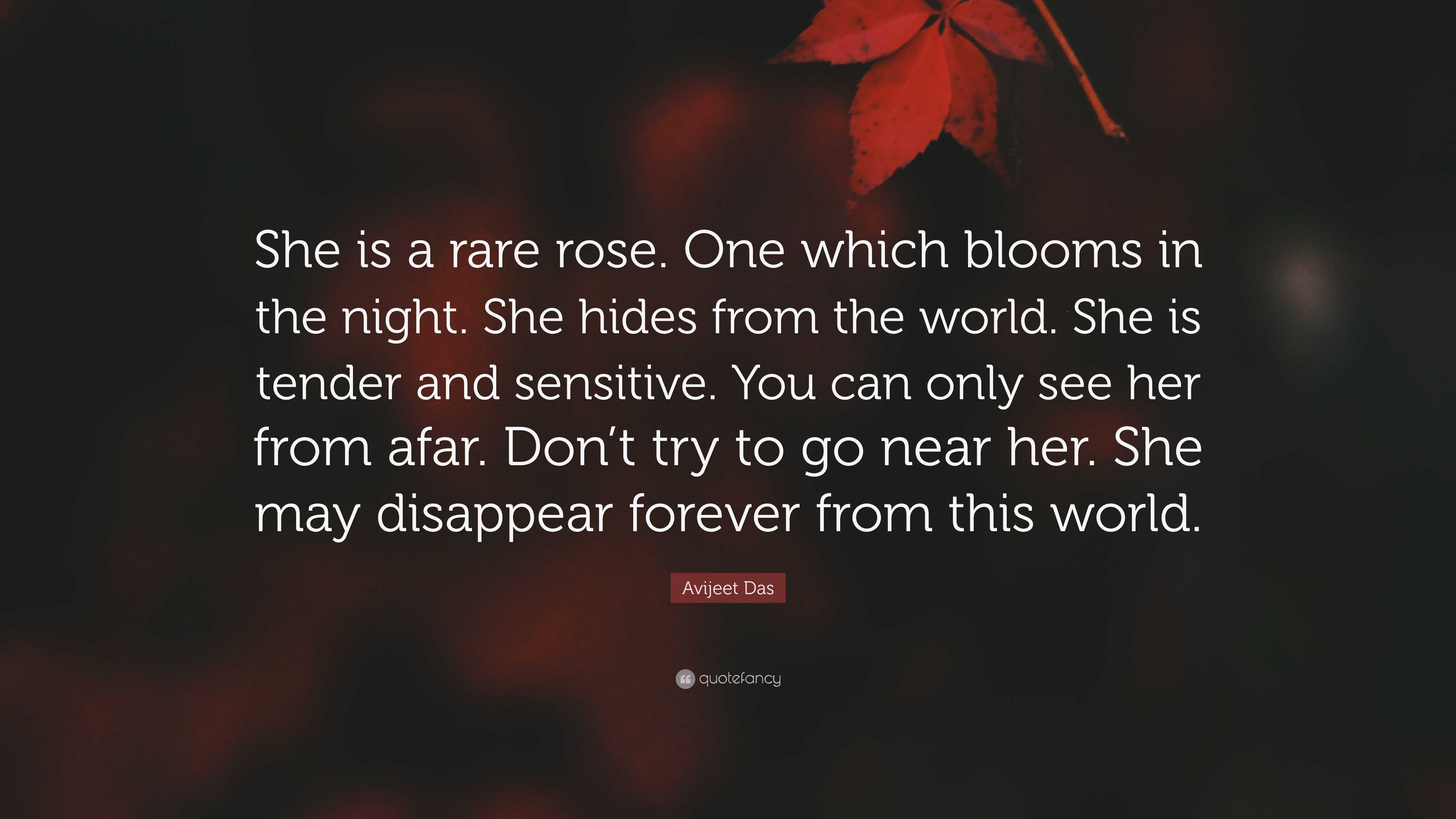 Rare Rose Quotes