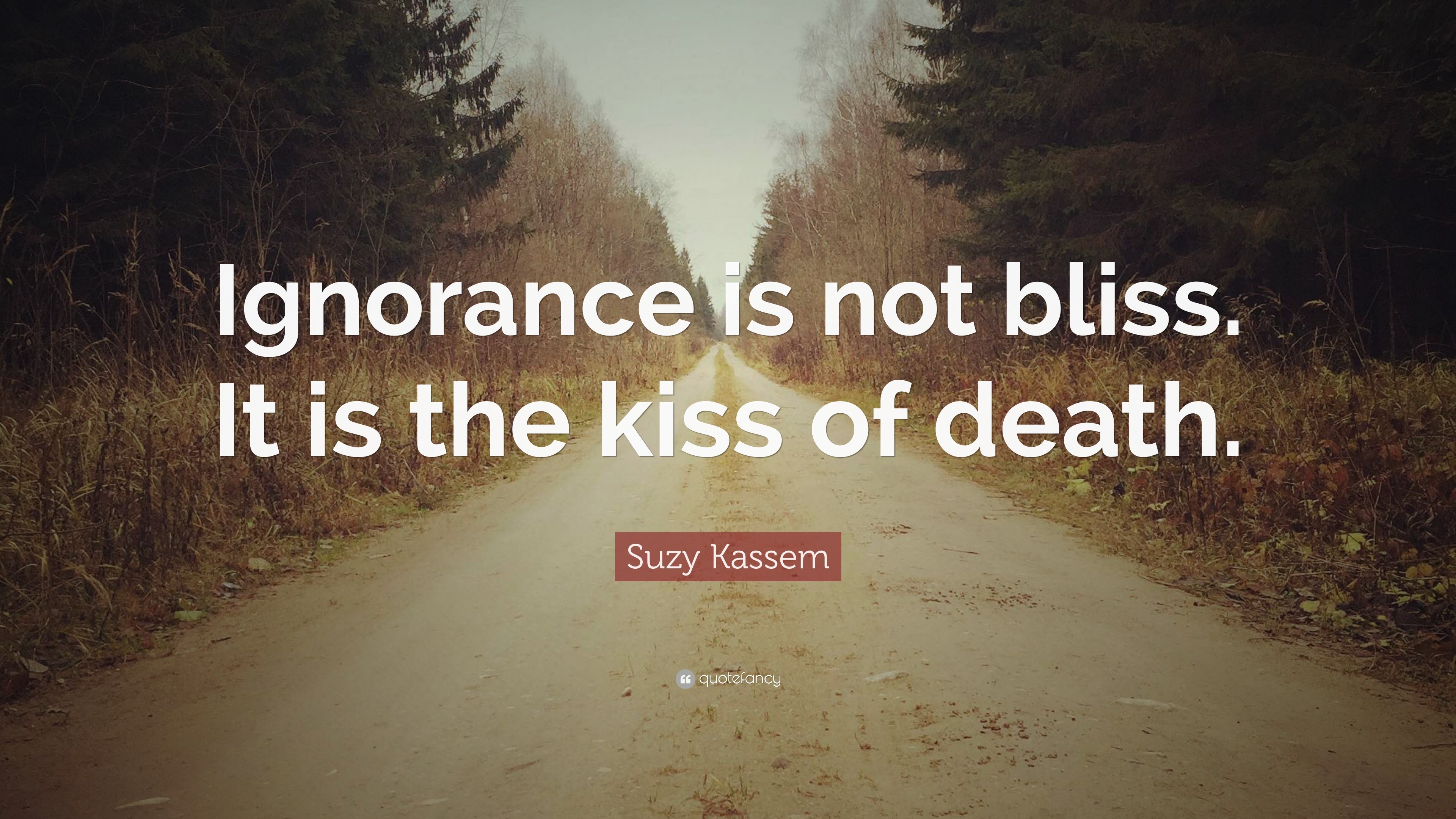 825761-Suzy-Kassem-Quote-Ignorance-is-no