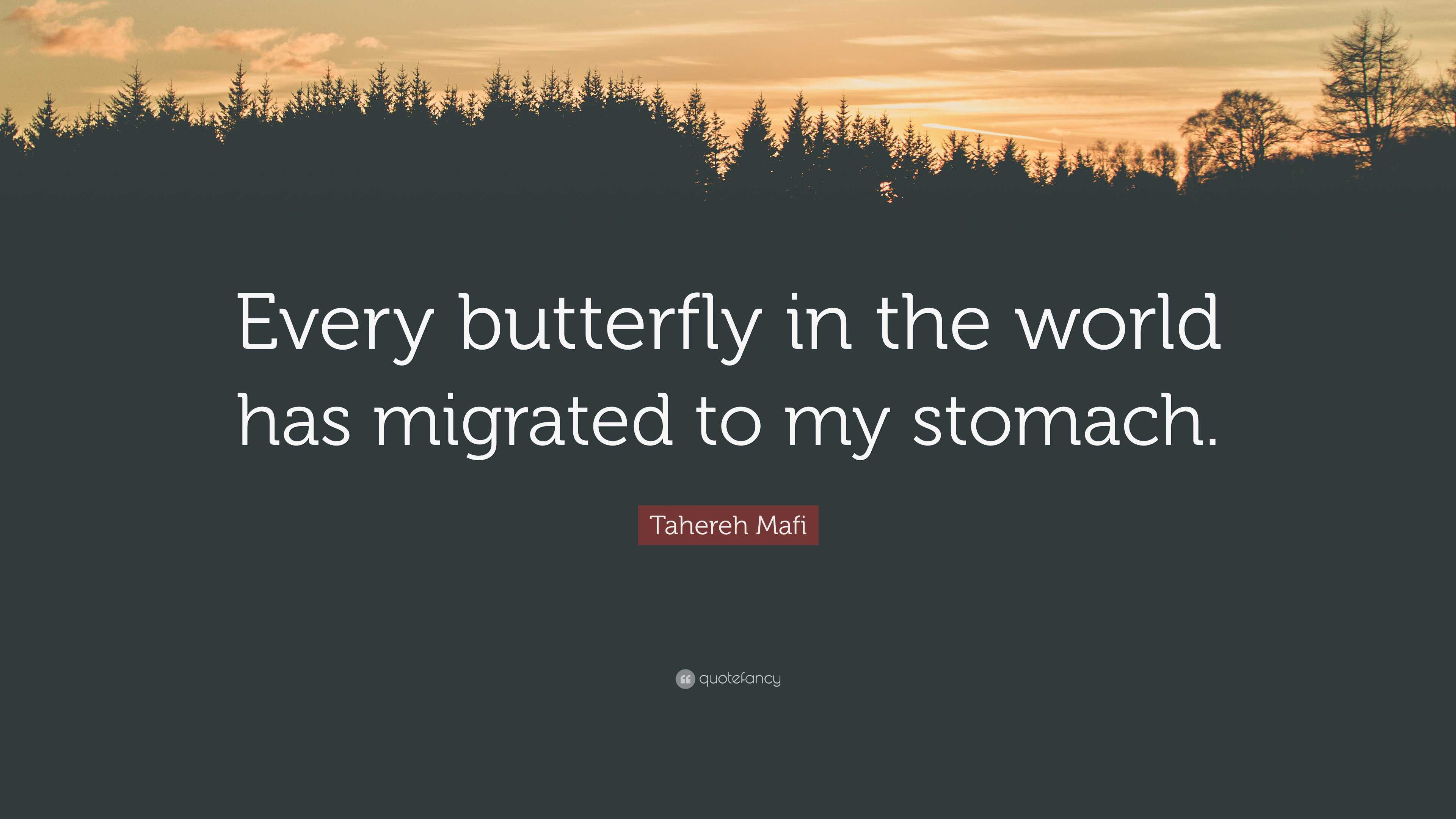 Back to School Book: Butterflies in My Stomach « Children's Books \u0026 More, image size:3840x2160