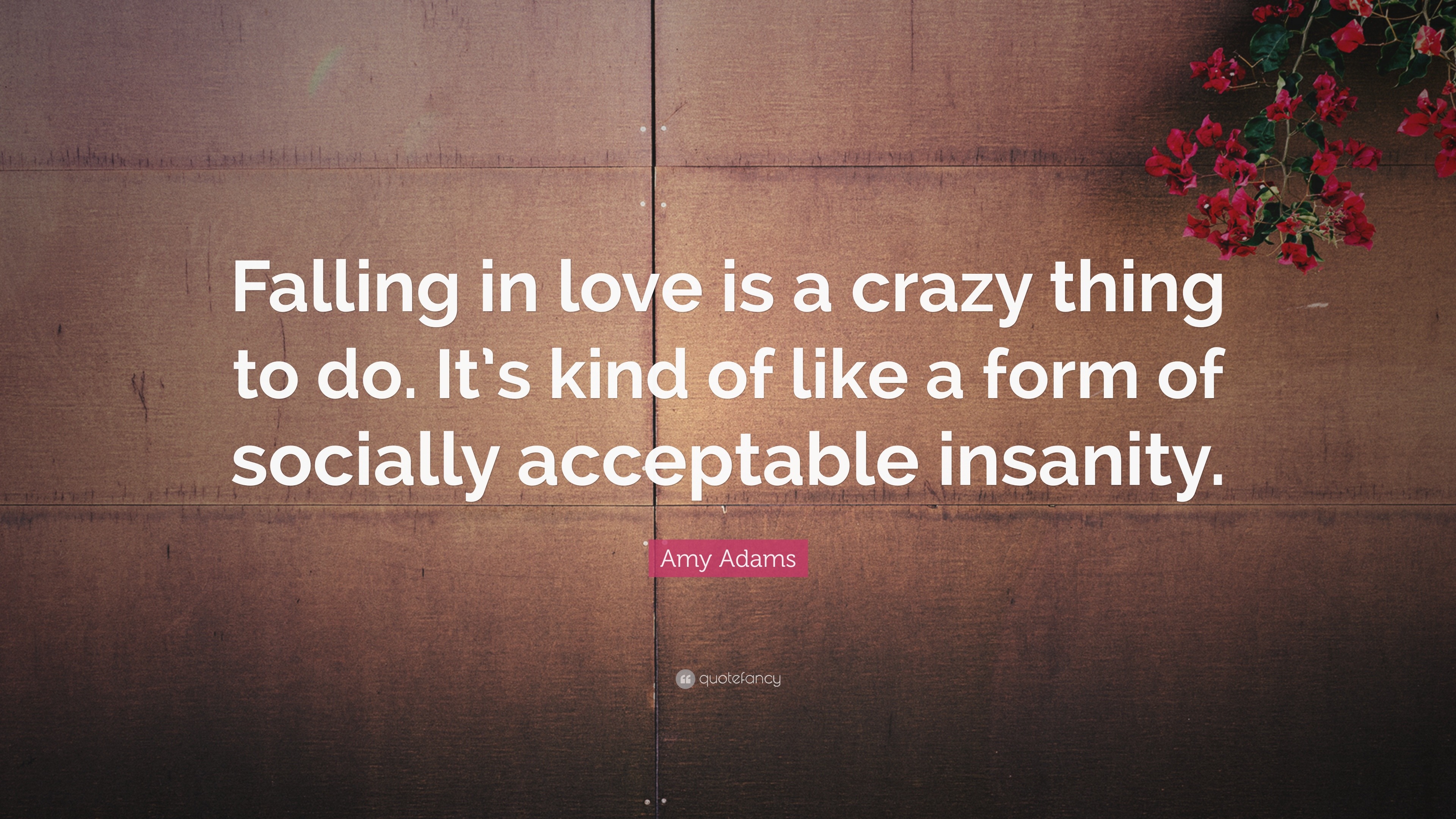 Amy Adams Quote “Falling in love is a crazy thing to do It s
