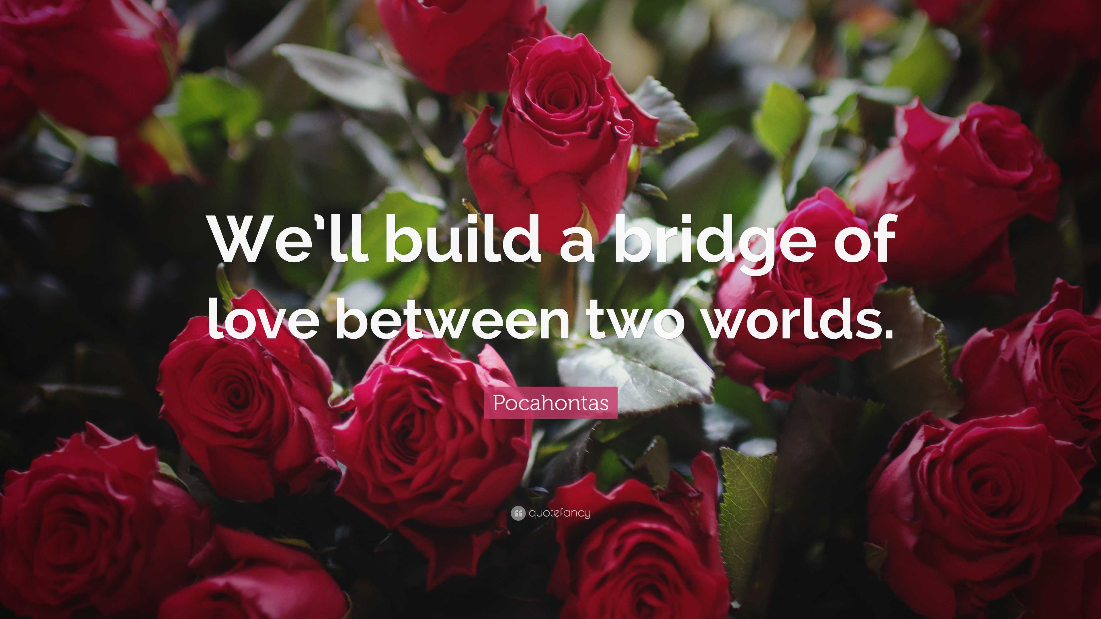 Pocahontas Quote: “We’ll build a bridge of love between two worlds.”