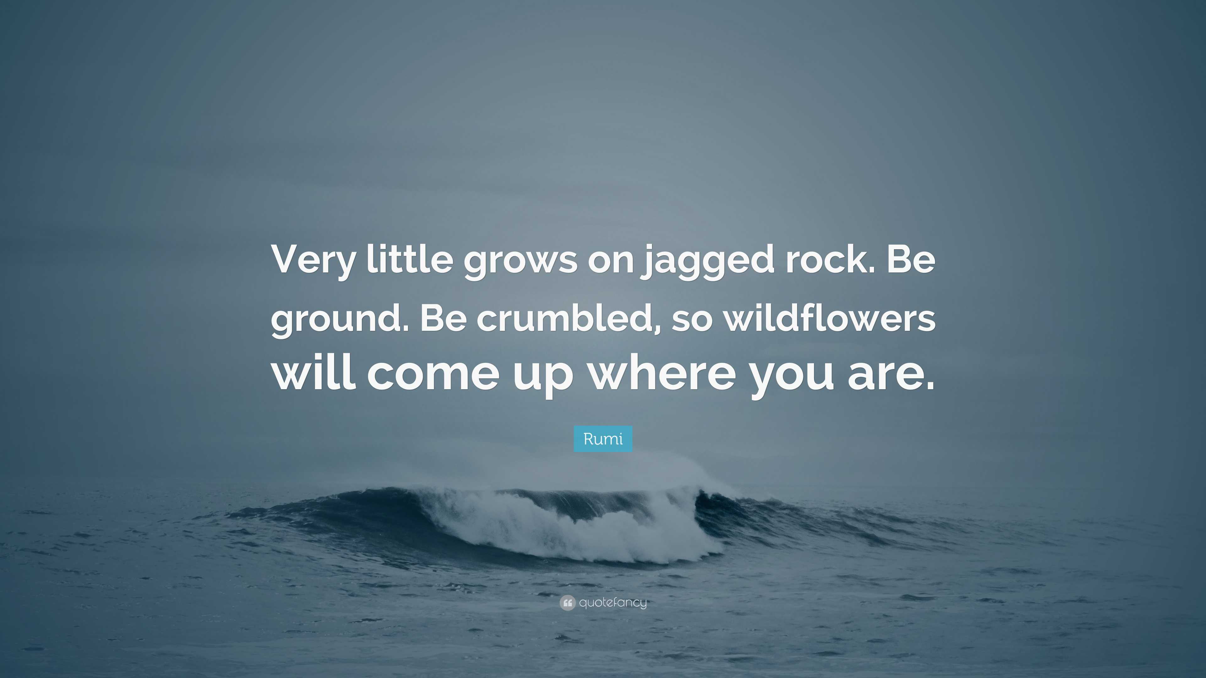 Rumi Quote: “Very little grows on jagged rock. Be ground. Be 