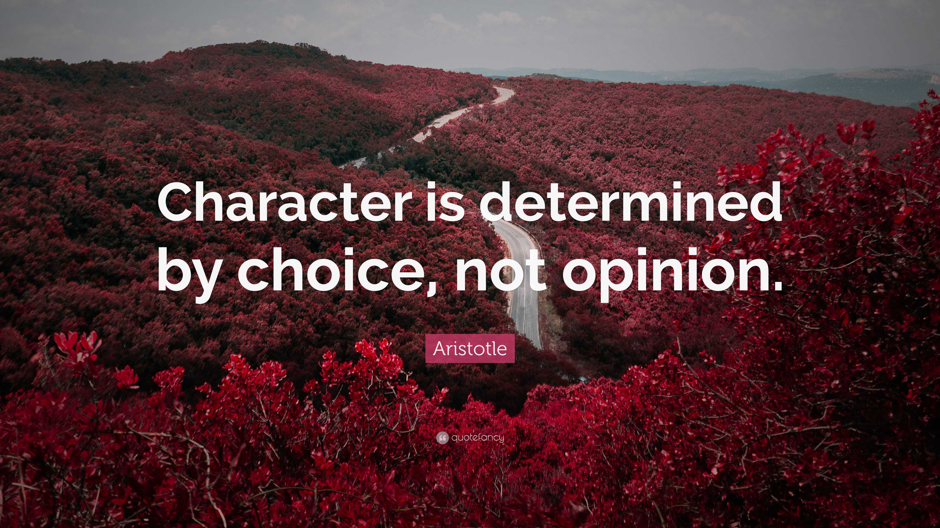 Aristotle Quote: “Character is determined by choice, not opinion.”