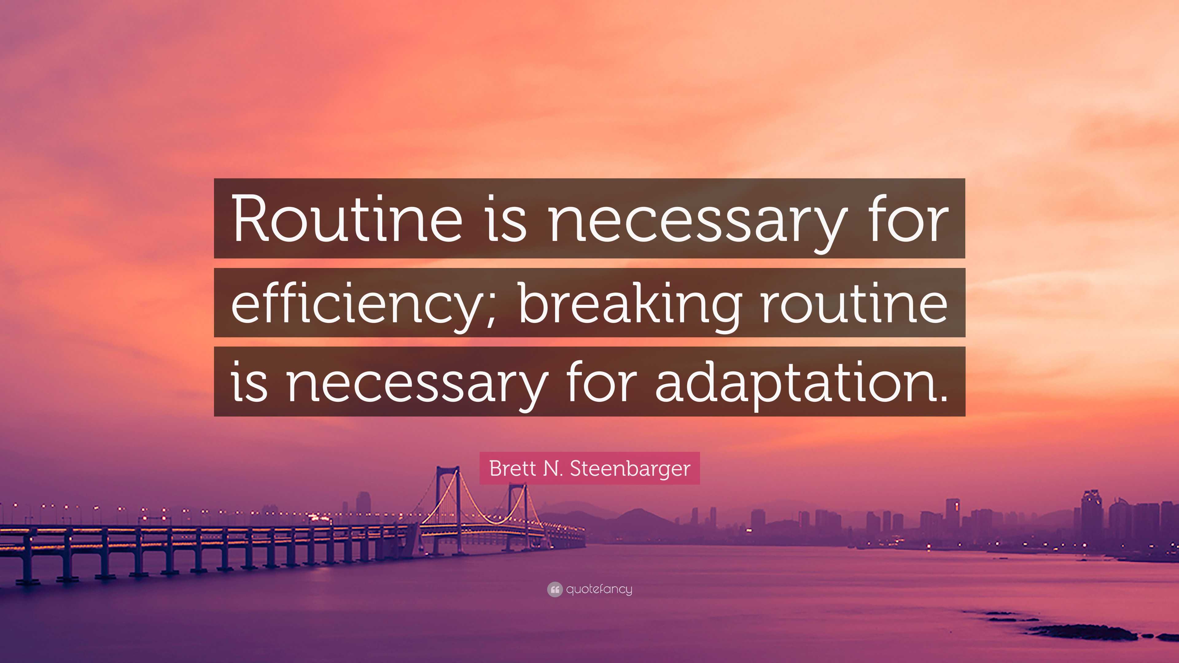 Brett N. Steenbarger Quote: “Routine is necessary for efficiency ...