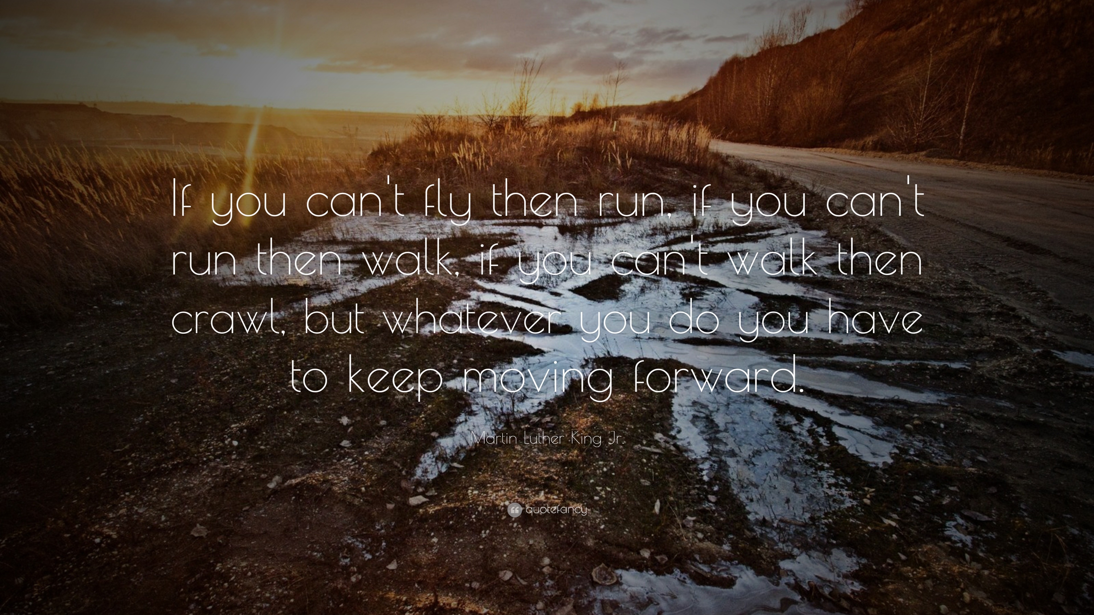 Martin Luther King Jr. Quote: “If you can’t fly then run, if you can’t ...