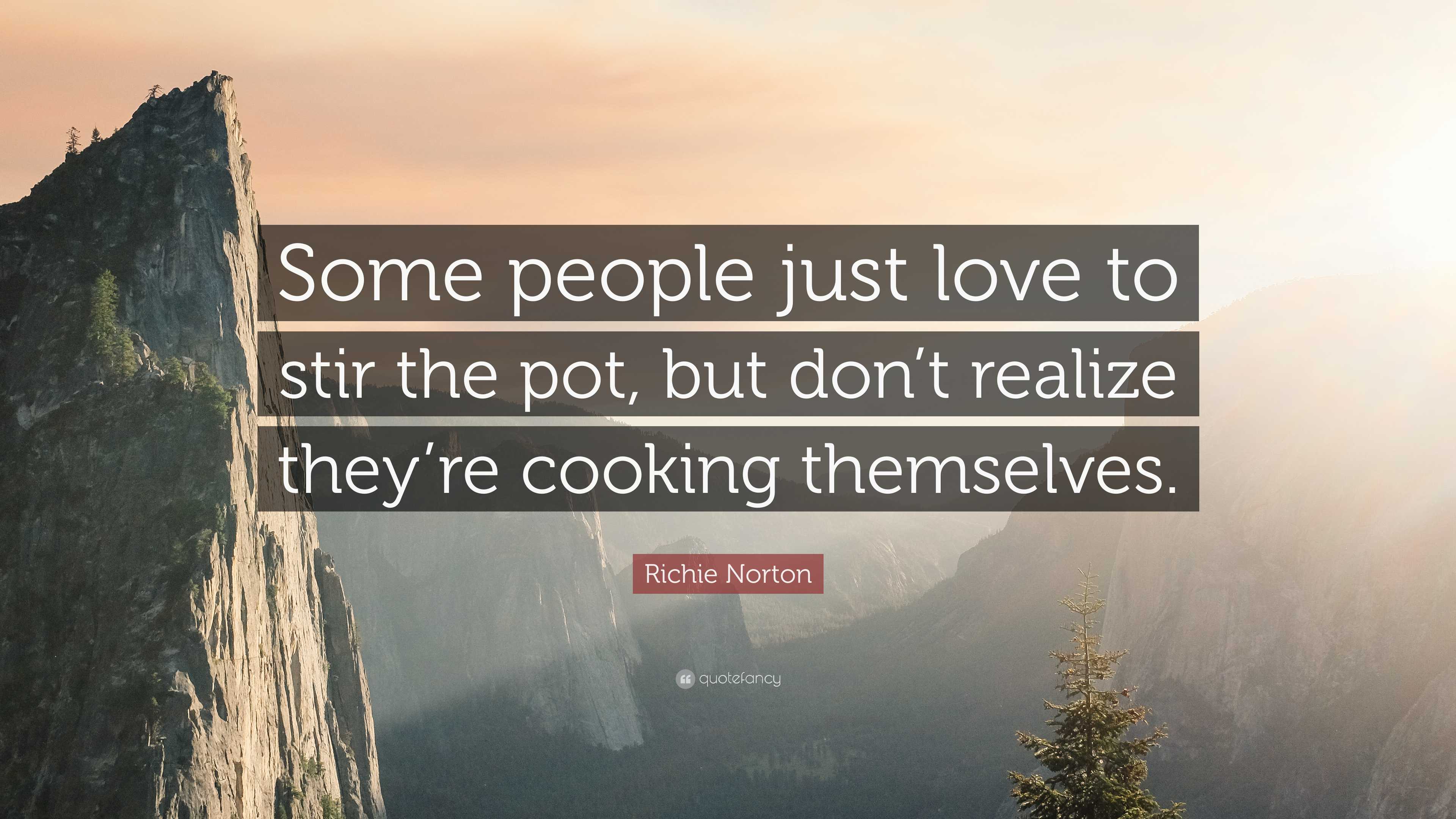 Richie Norton Quote: "Some people just love to stir the pot, but don't ...