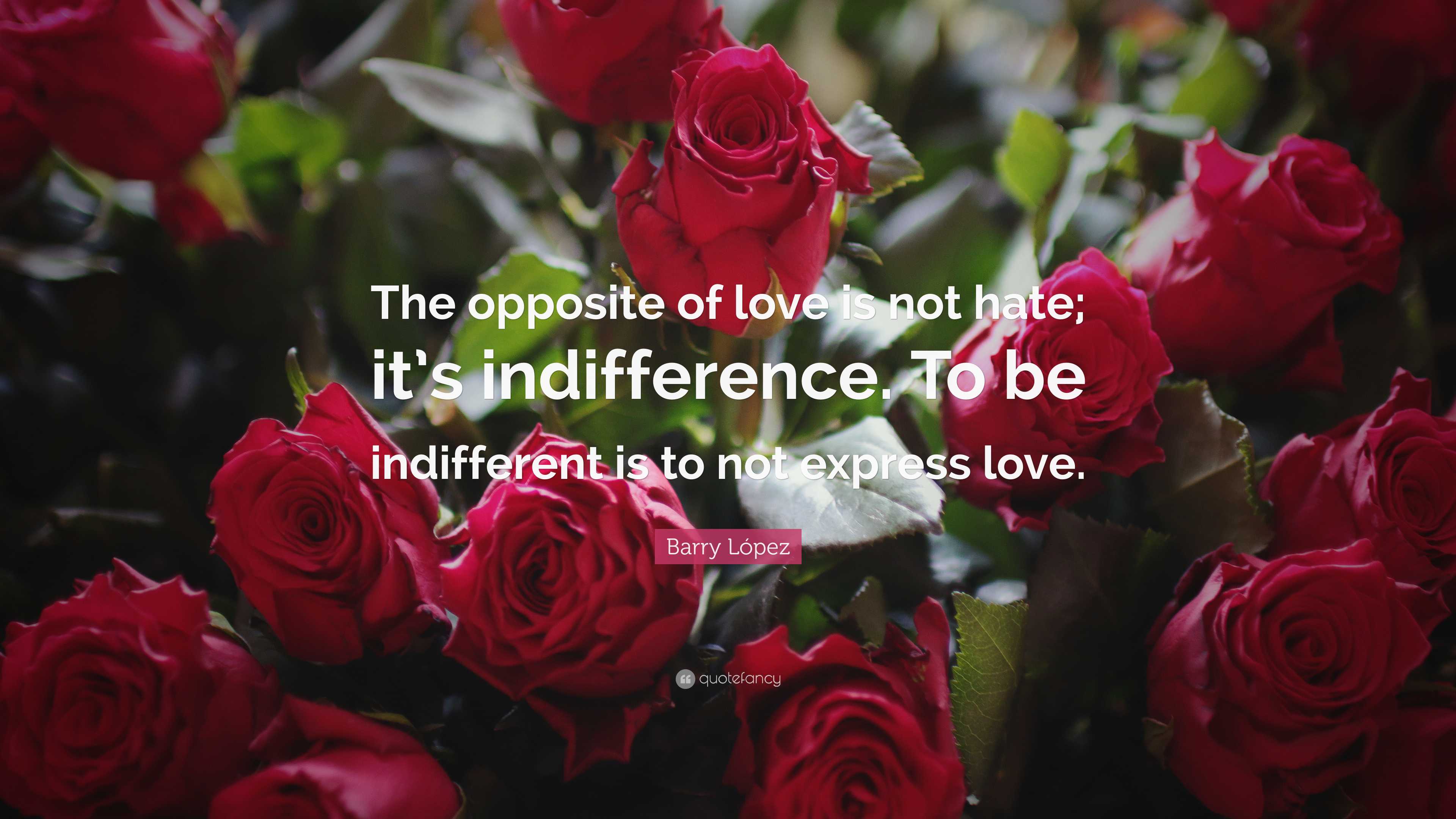 Barry López Quote: “The opposite of love is not hate; it’s indifference ...