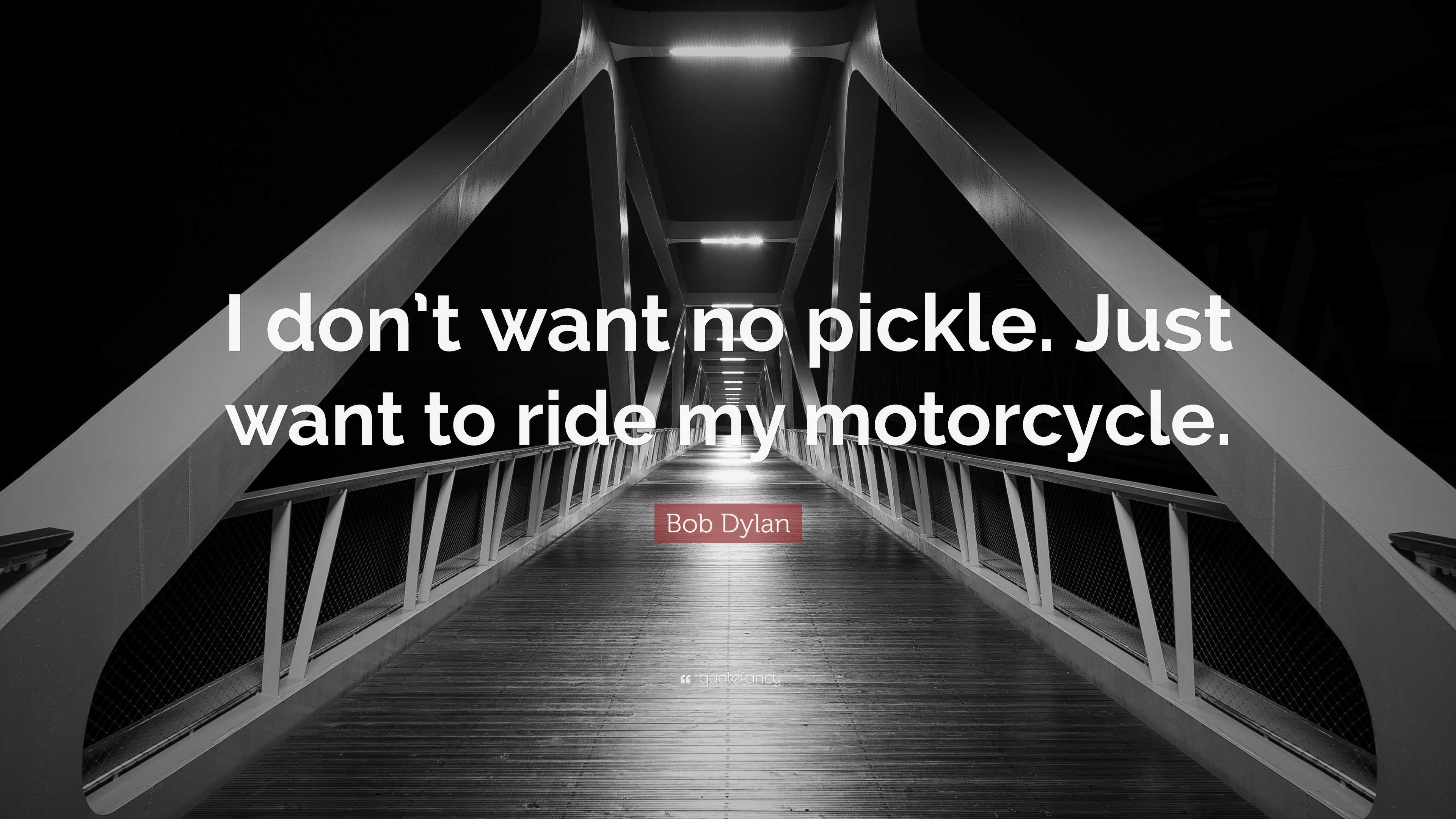 Maximum Ride Dylan Quotes