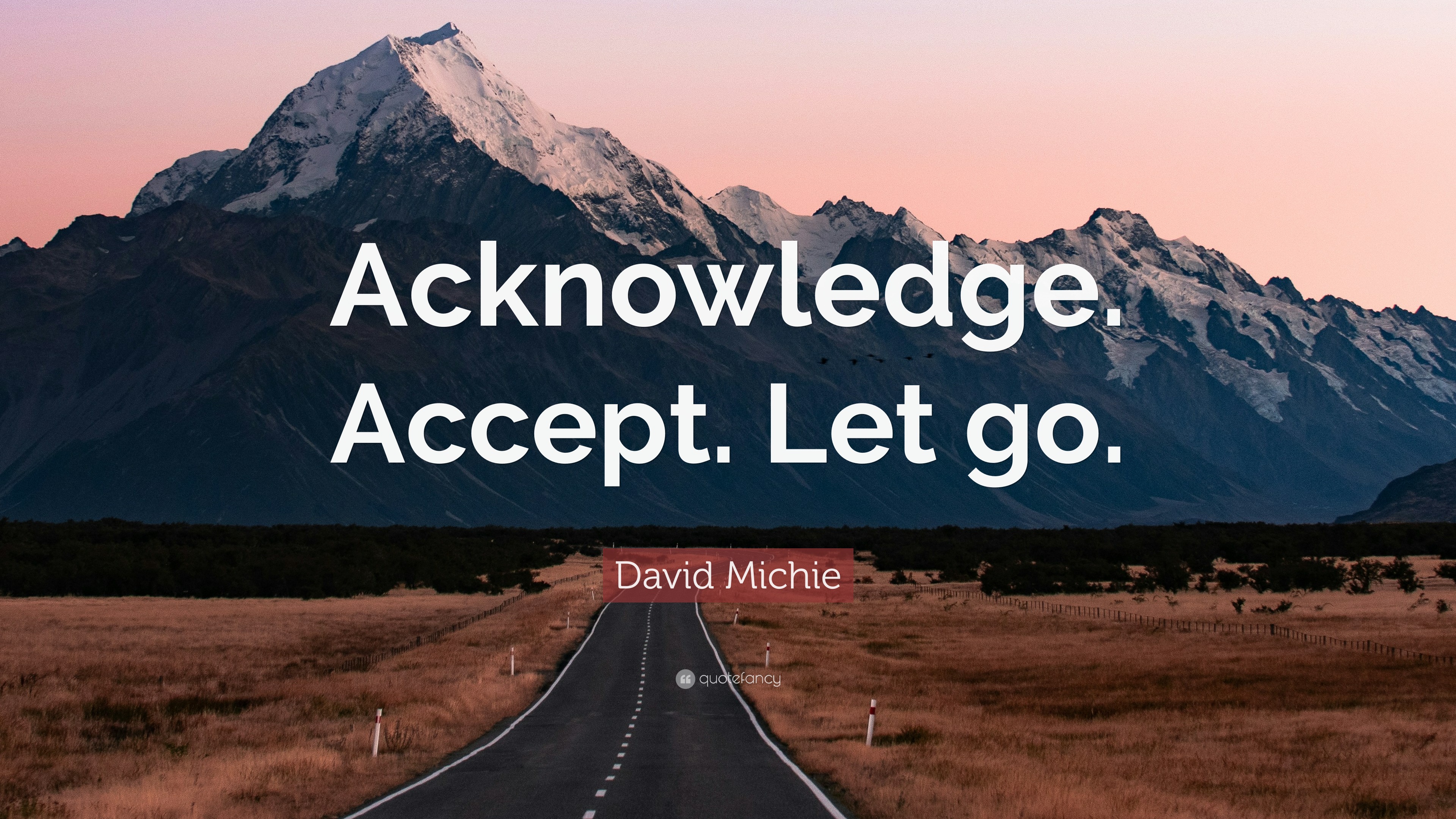 David Michie Quote: “Acknowledge. Accept. Let go.”