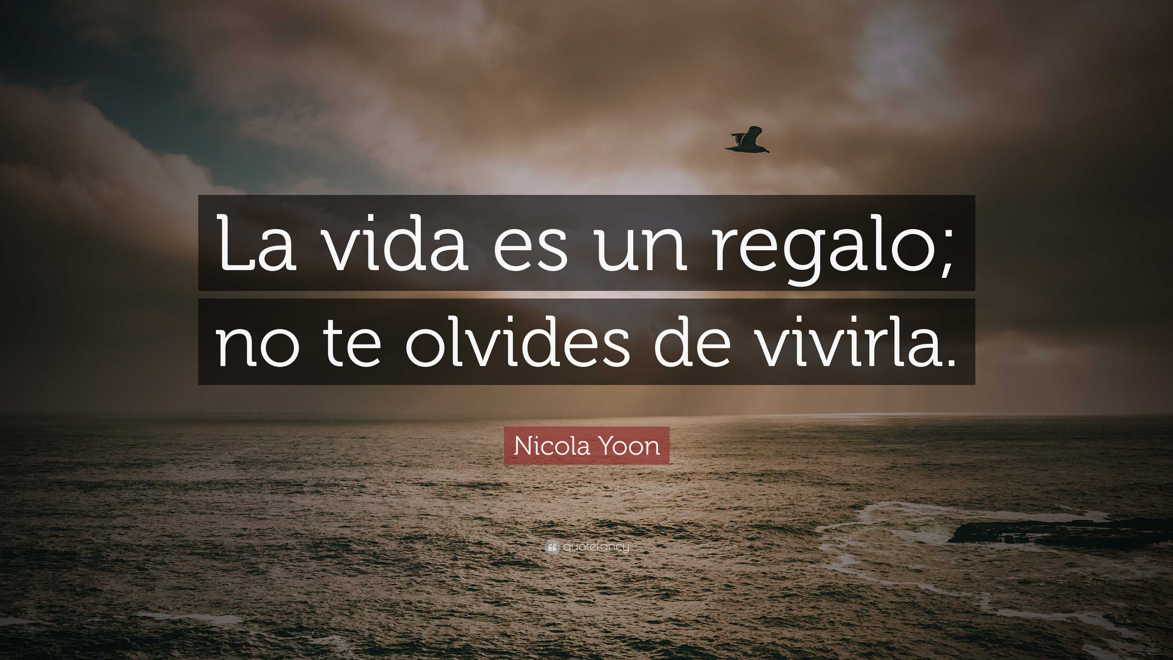 Nicola Yoon Quote La Vida Es Un Regalo No Te Olvides De Vivirla