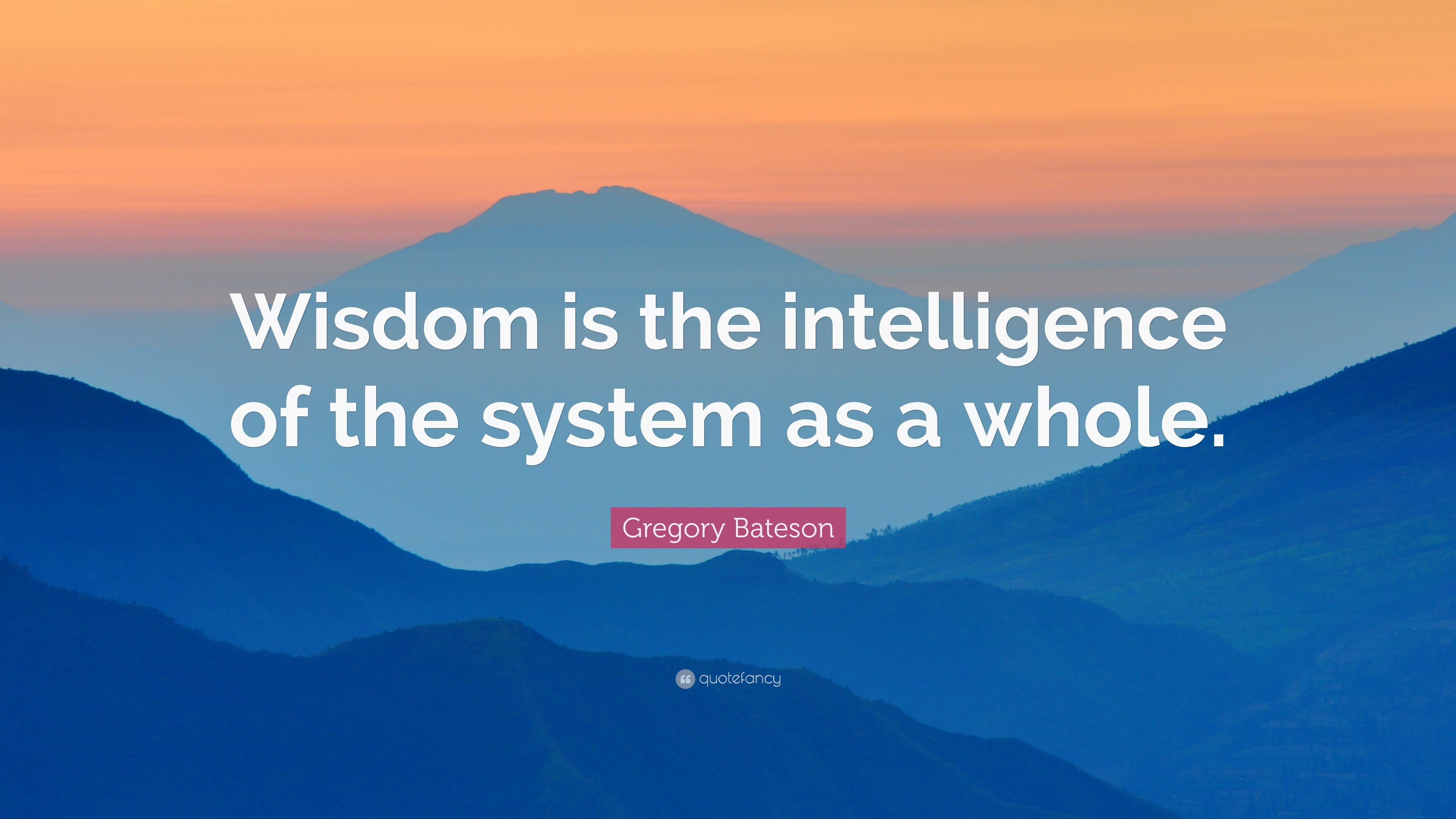 Gregory Bateson Quote: “Wisdom is the intelligence of the system as a ...