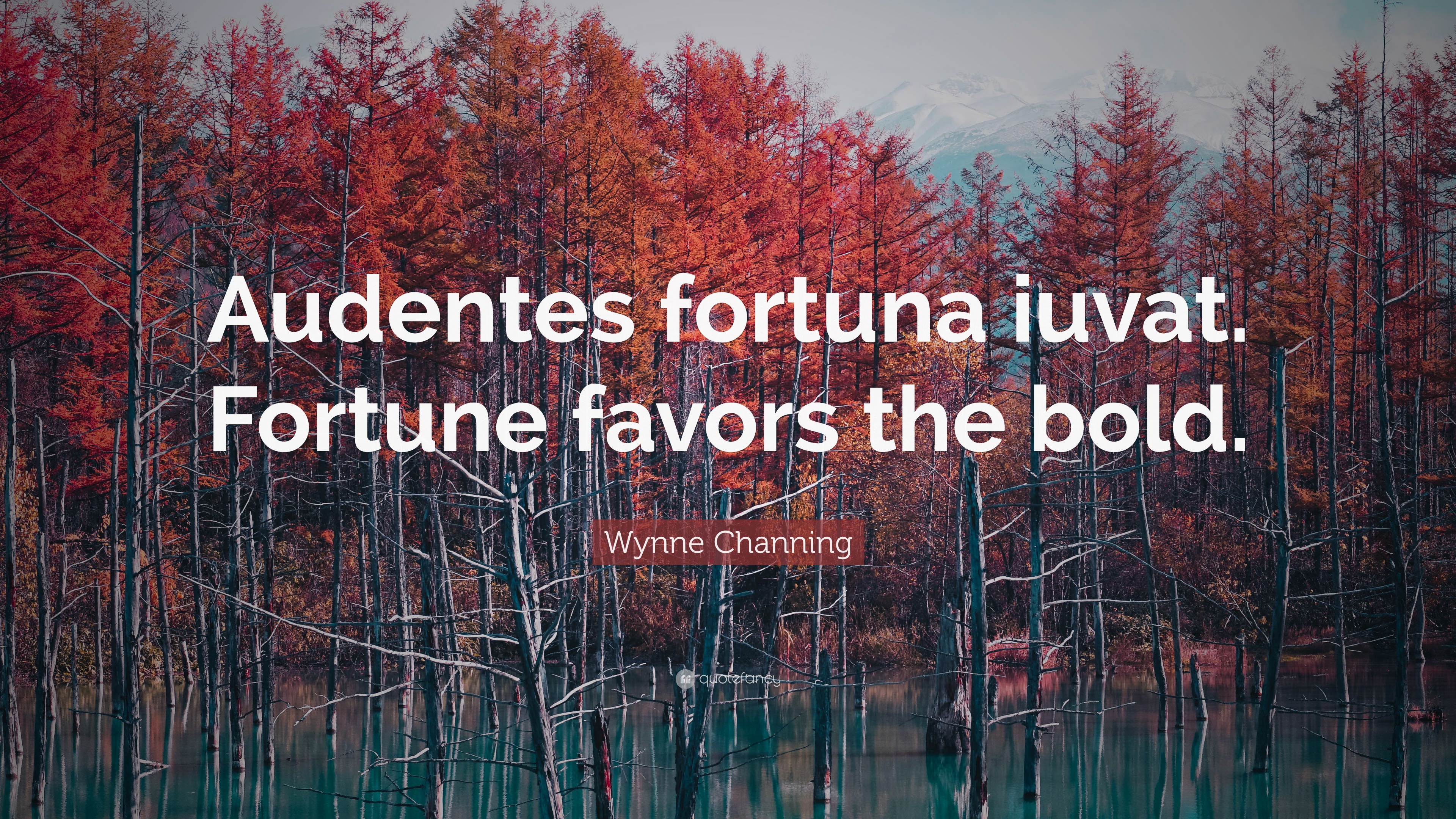 Wynne Channing Quote: “Audentes fortuna iuvat. Fortune favors the bold.”