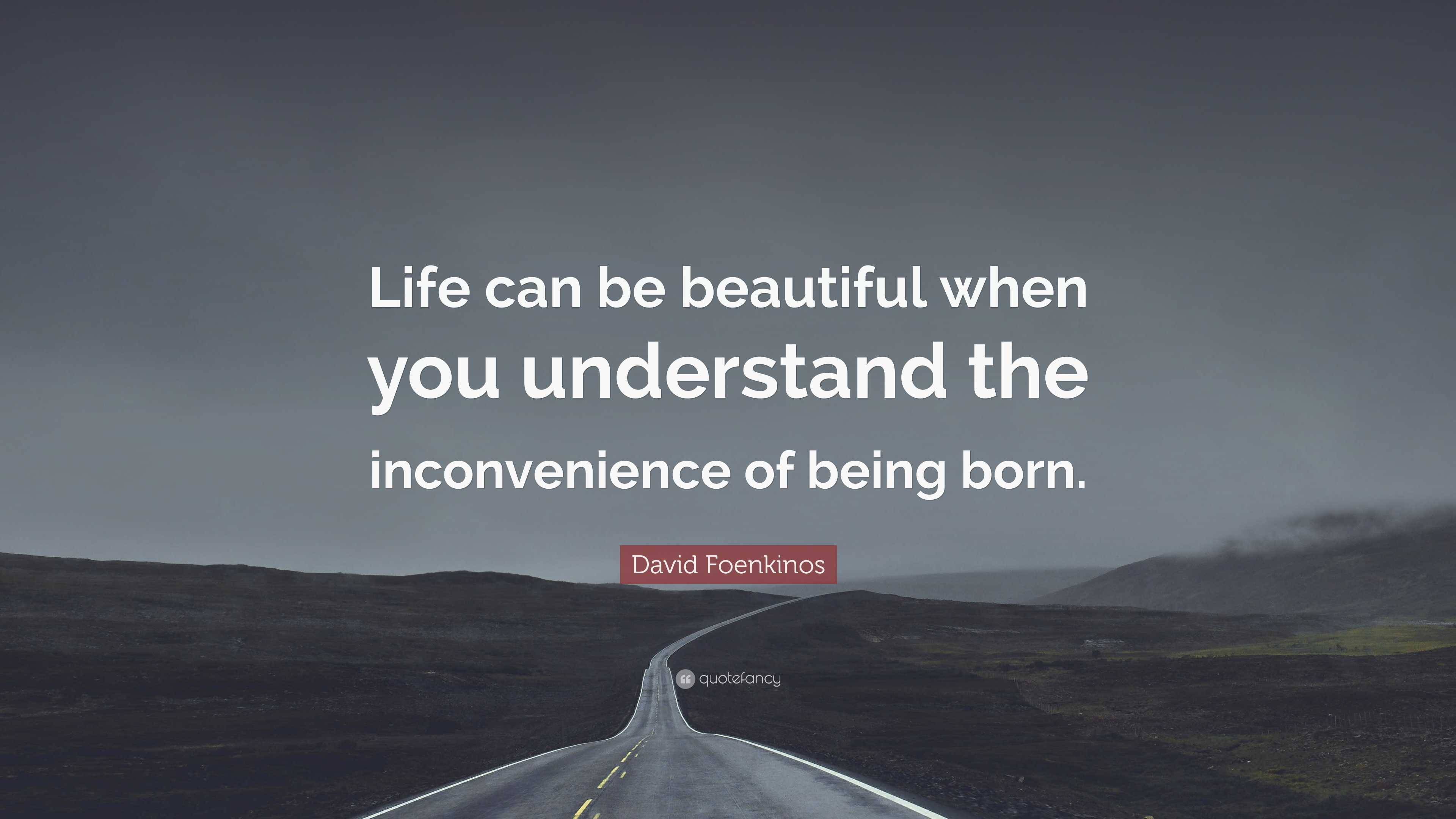 David Foenkinos Quote: “Life can be beautiful when you understand the ...