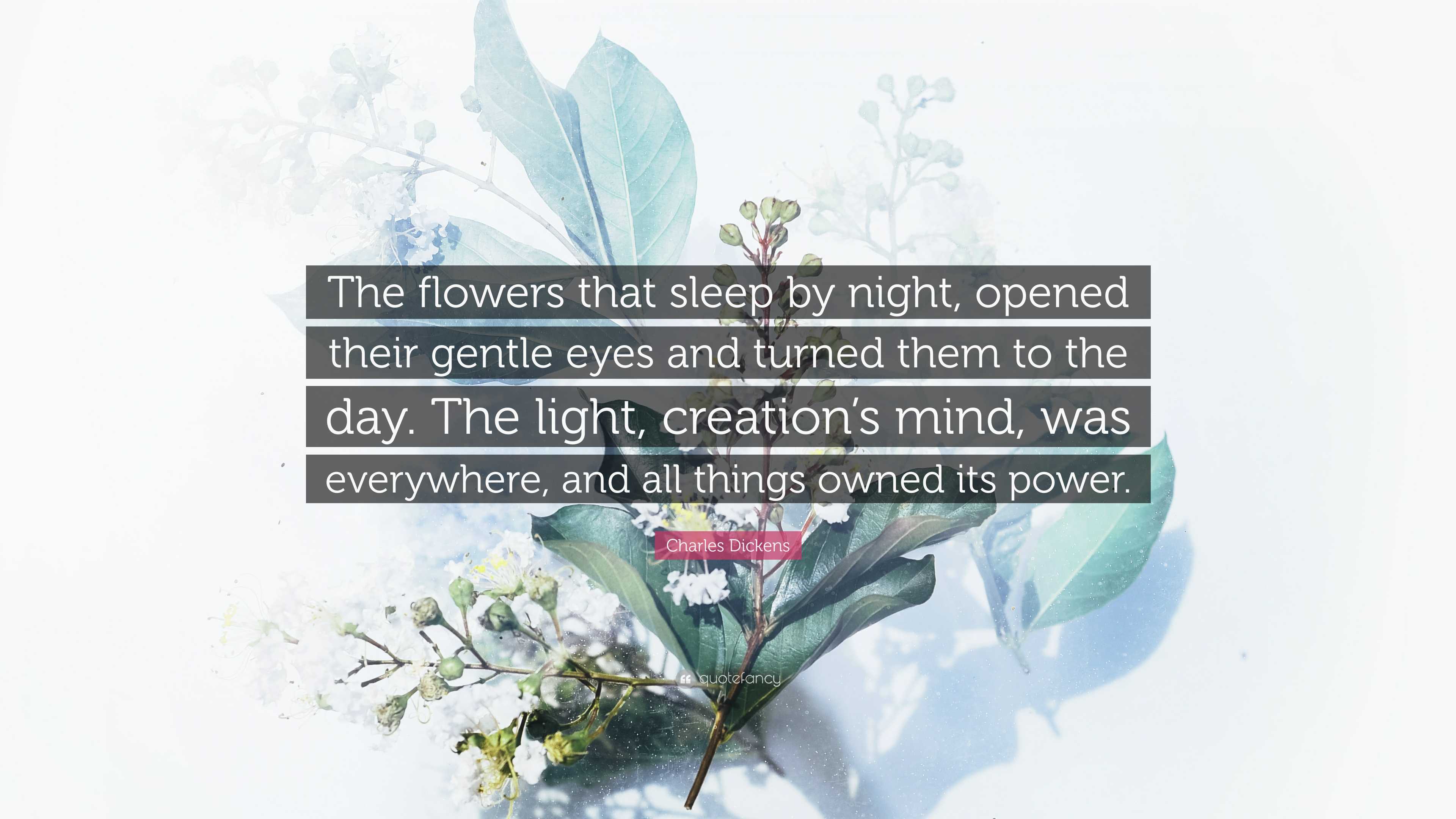 SHE'll SLEEP Years、Days、See The Light Charles Dickens Quote: “The flowers that sleep by night, opened
