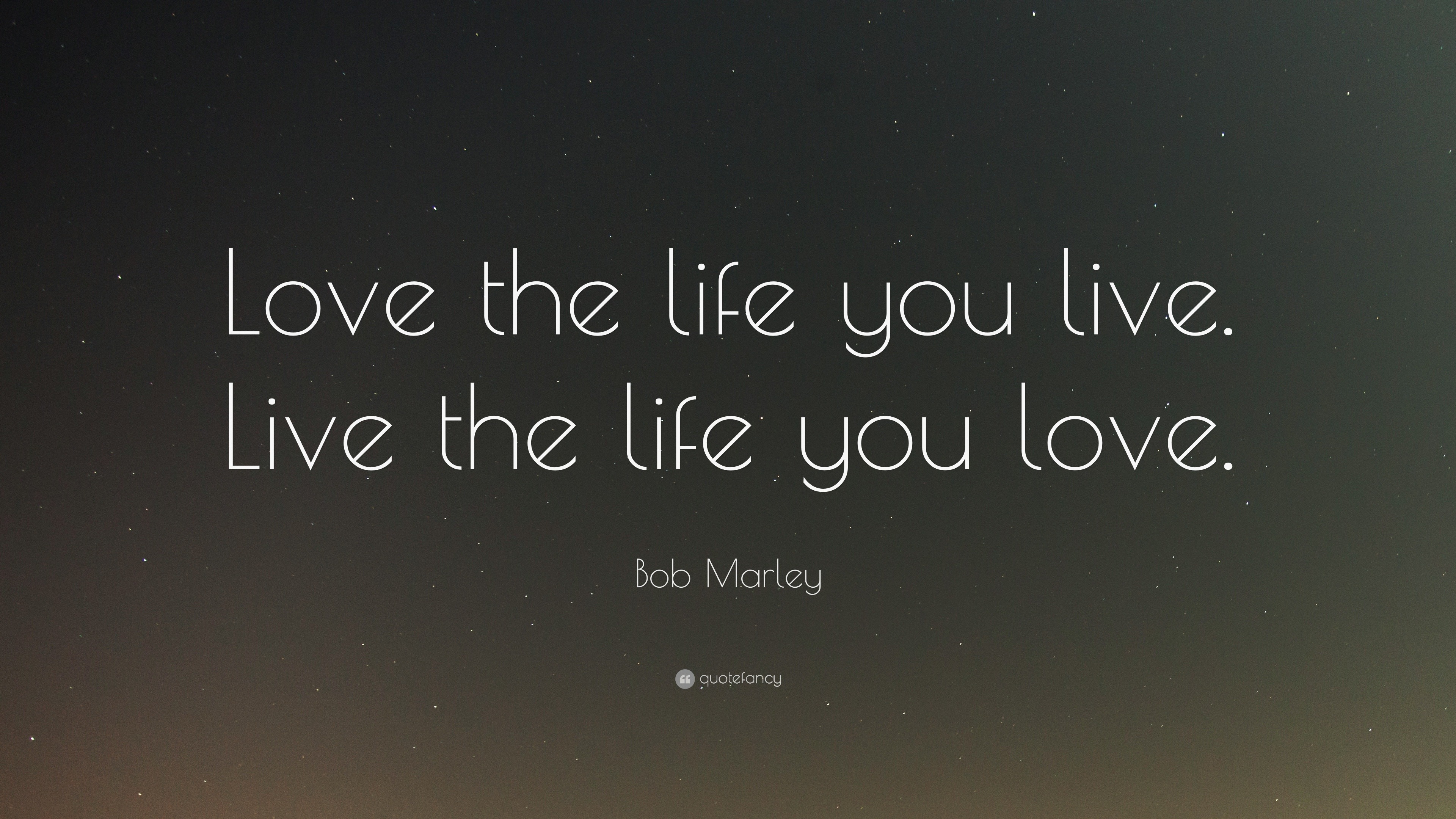 Bob Marley Quote   Love  the life  you live  Live  the life  