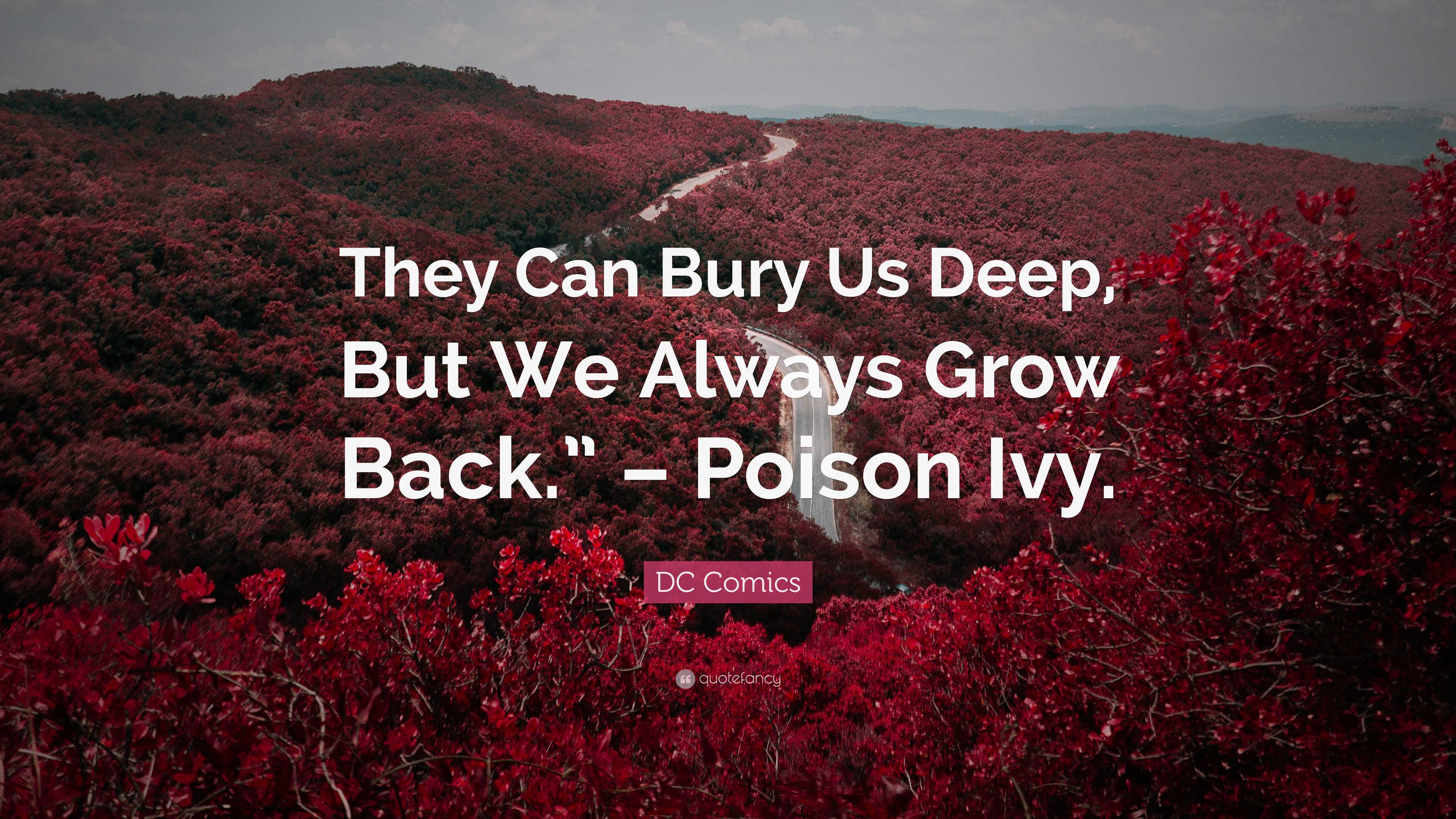 Poison Ivy Great Quotes Changing With The Seasons Poison Ivy And The poison-ivy-great-quotes-changing-with-the-seasons-poison-ivy-and-the