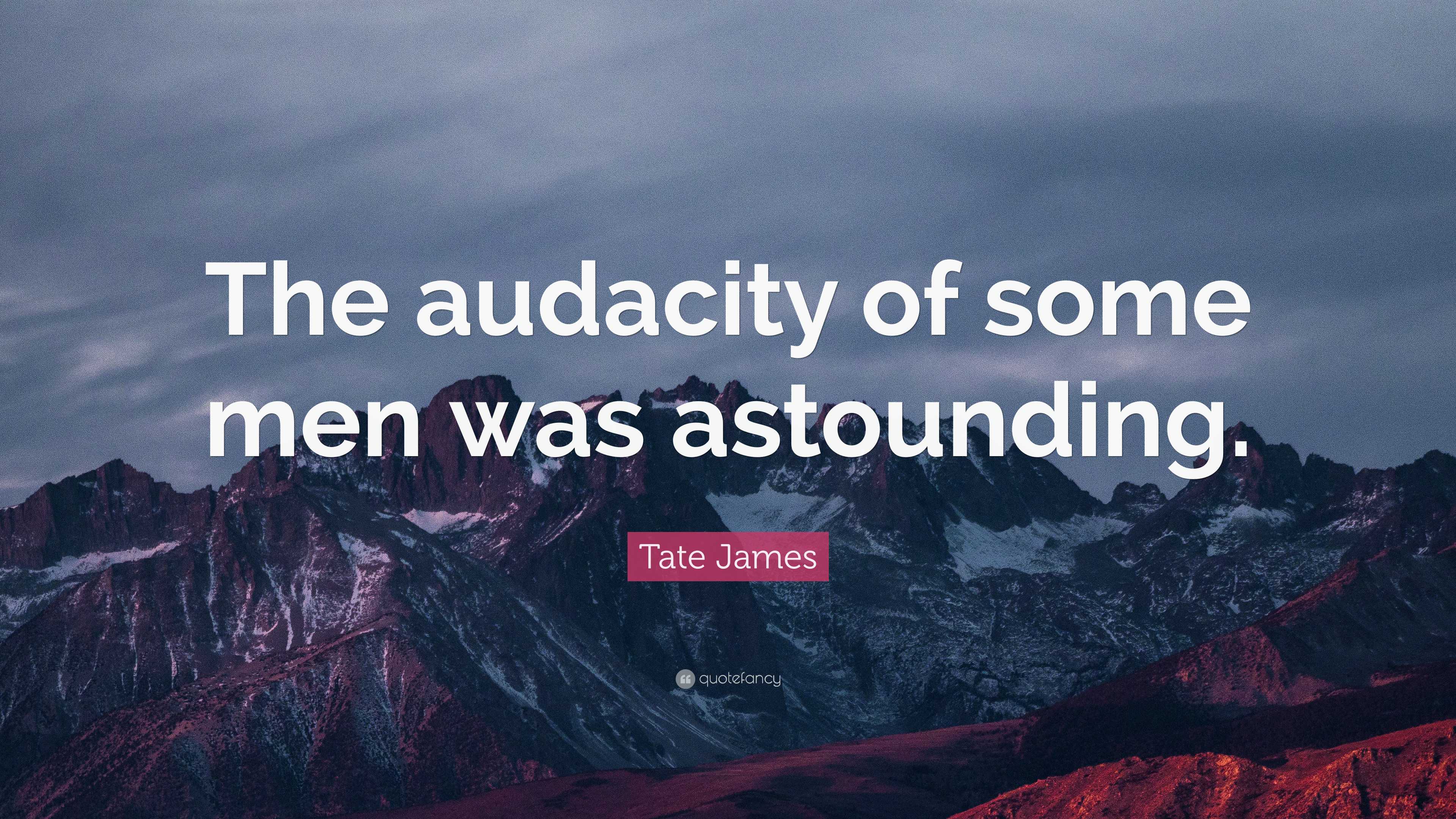 Tate James Quote: “The audacity of some men was astounding.”