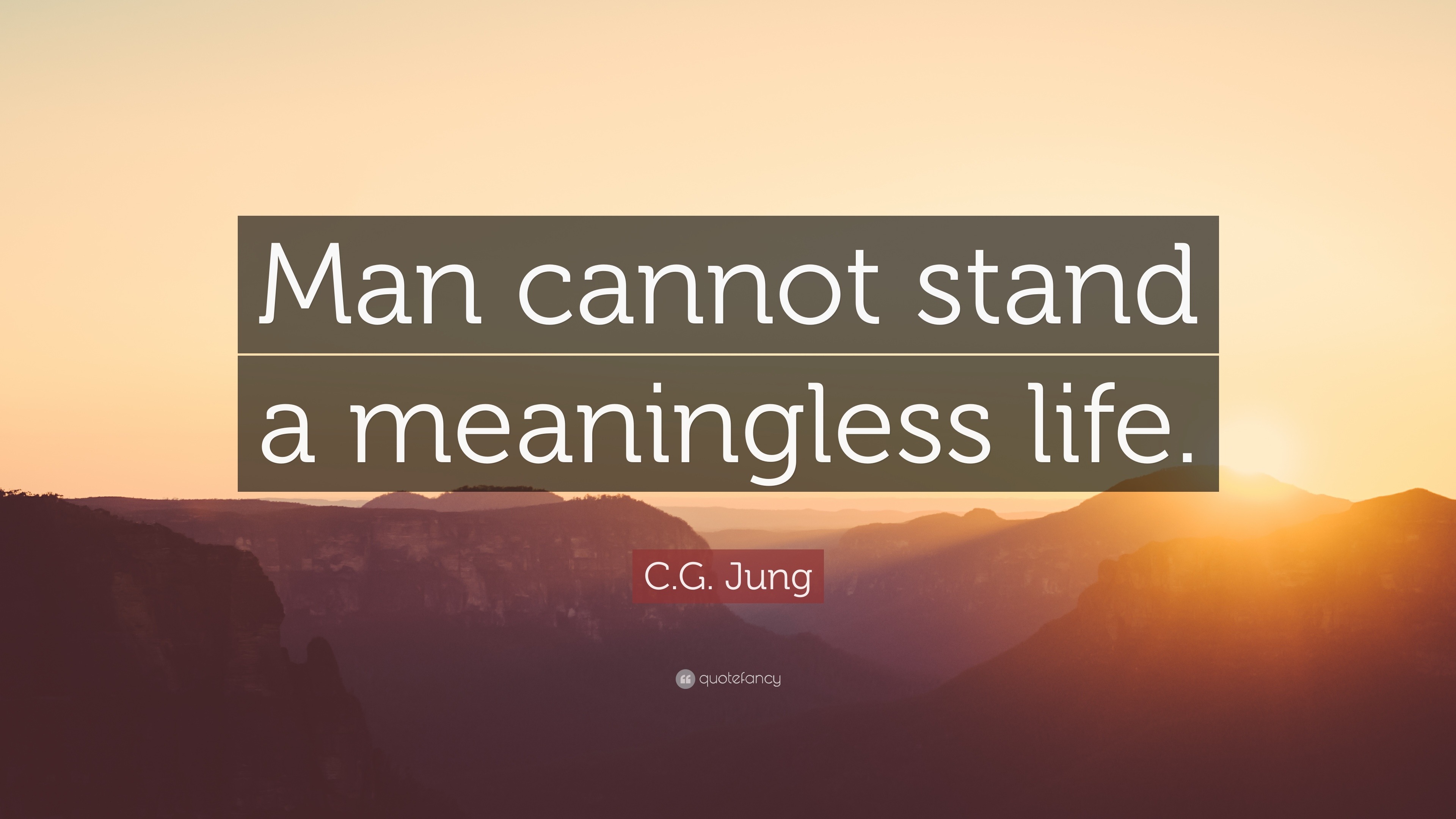 C G Jung Quote “Man cannot stand a meaningless life ”