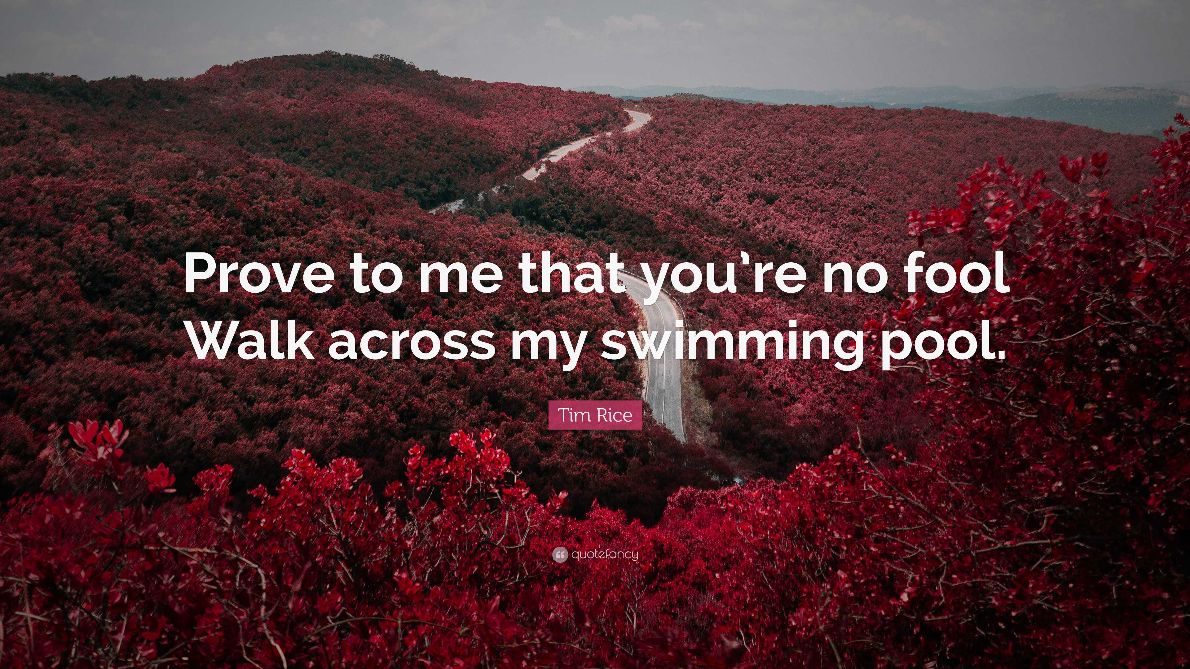 Tim Rice Quote: “Prove to me that you’re no fool Walk across my ...
