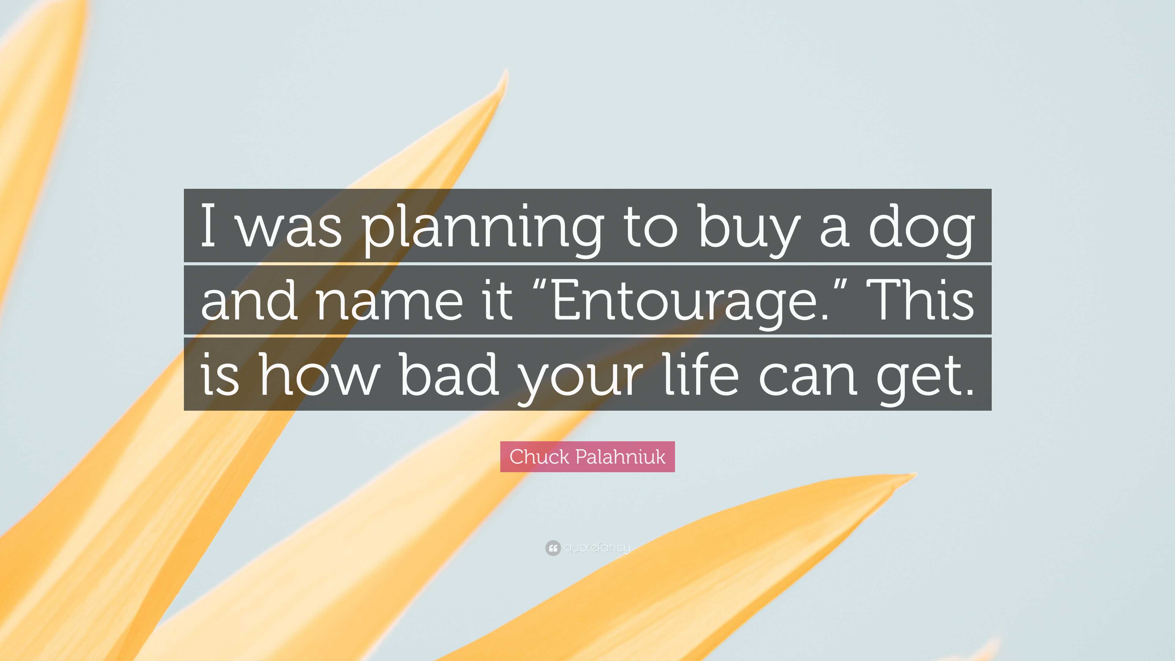 Chuck Palahniuk Quote: “I was planning to buy a dog and name it “Entourage.”  This is, image size:3840x2160