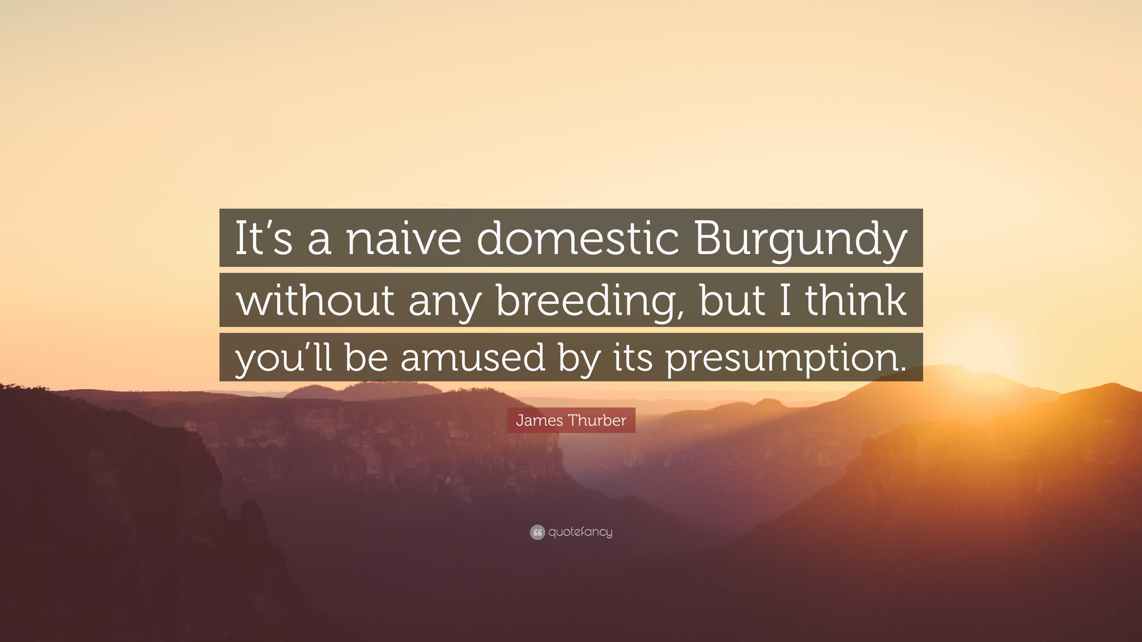 James Thurber Quote: “It’s a naive domestic Burgundy without any ...