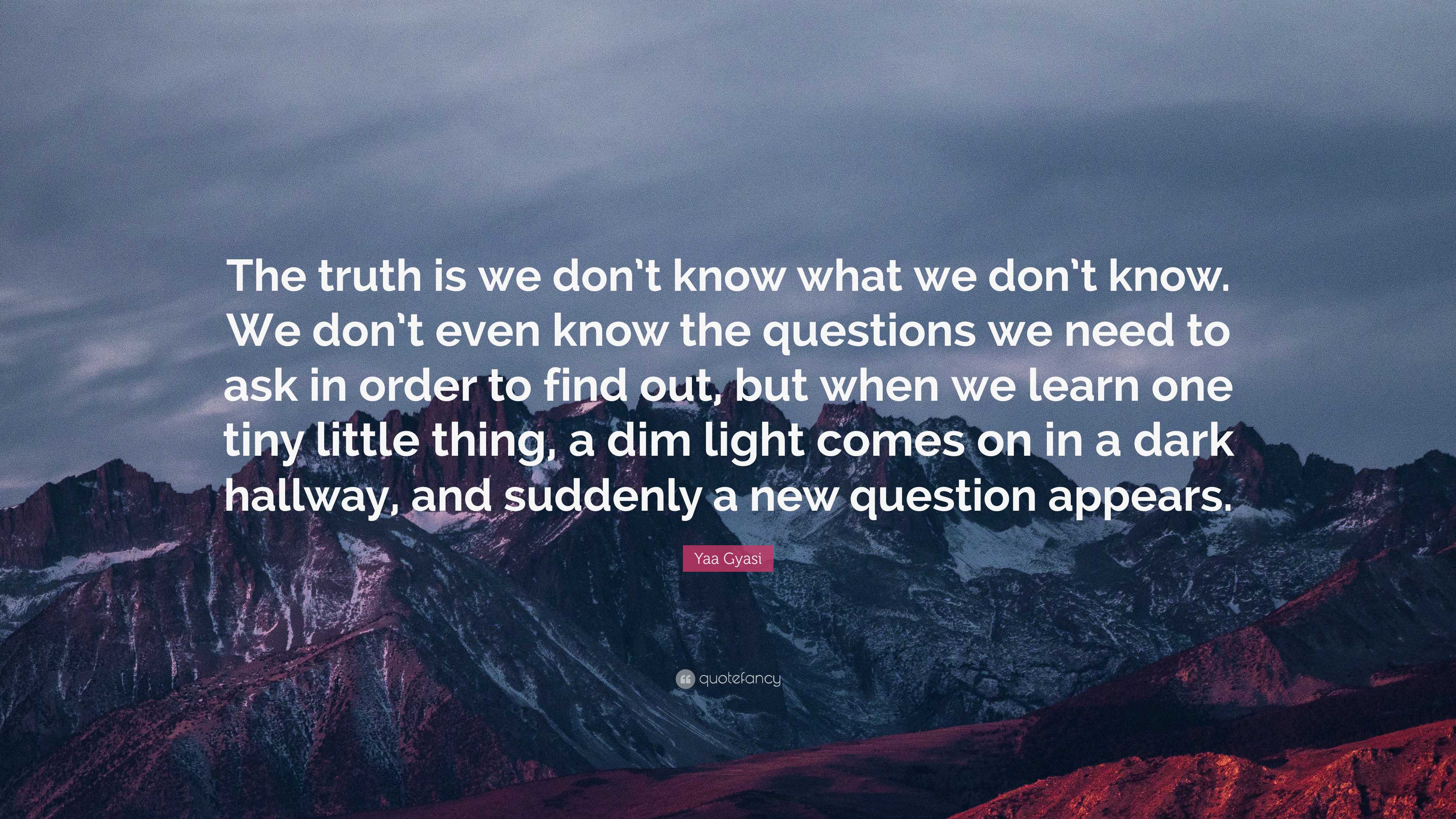 Suddenly Know Yaa Gyasi Quote: “The truth is we don’t know what we don’t know. We don ...