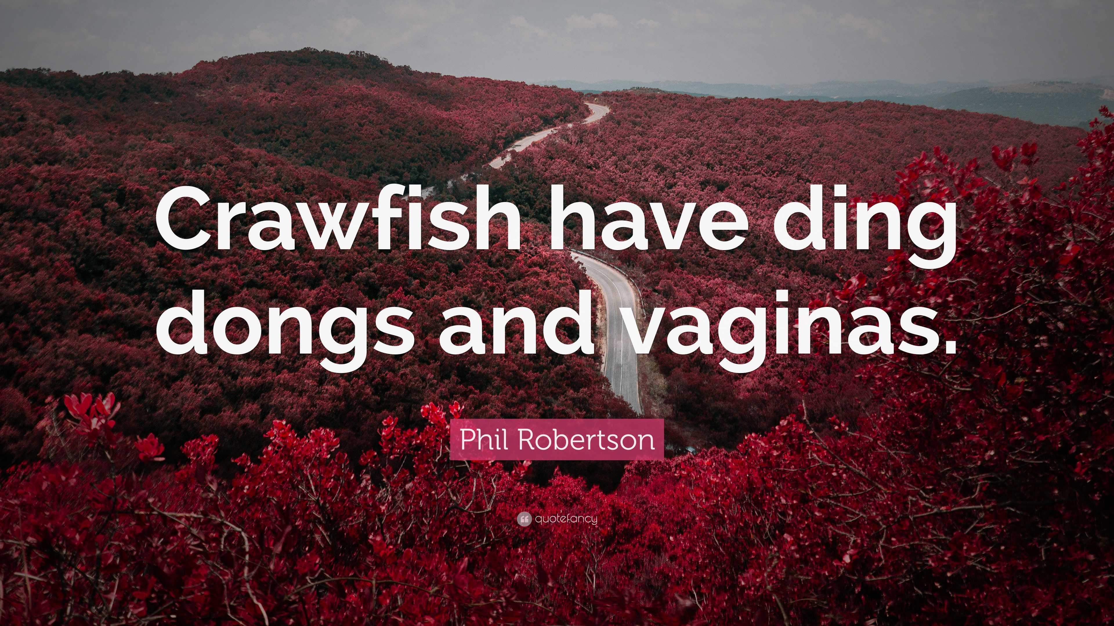 Phil Robertson Quote: “Crawfish have ding dongs and vaginas.”, image size:3840x2160