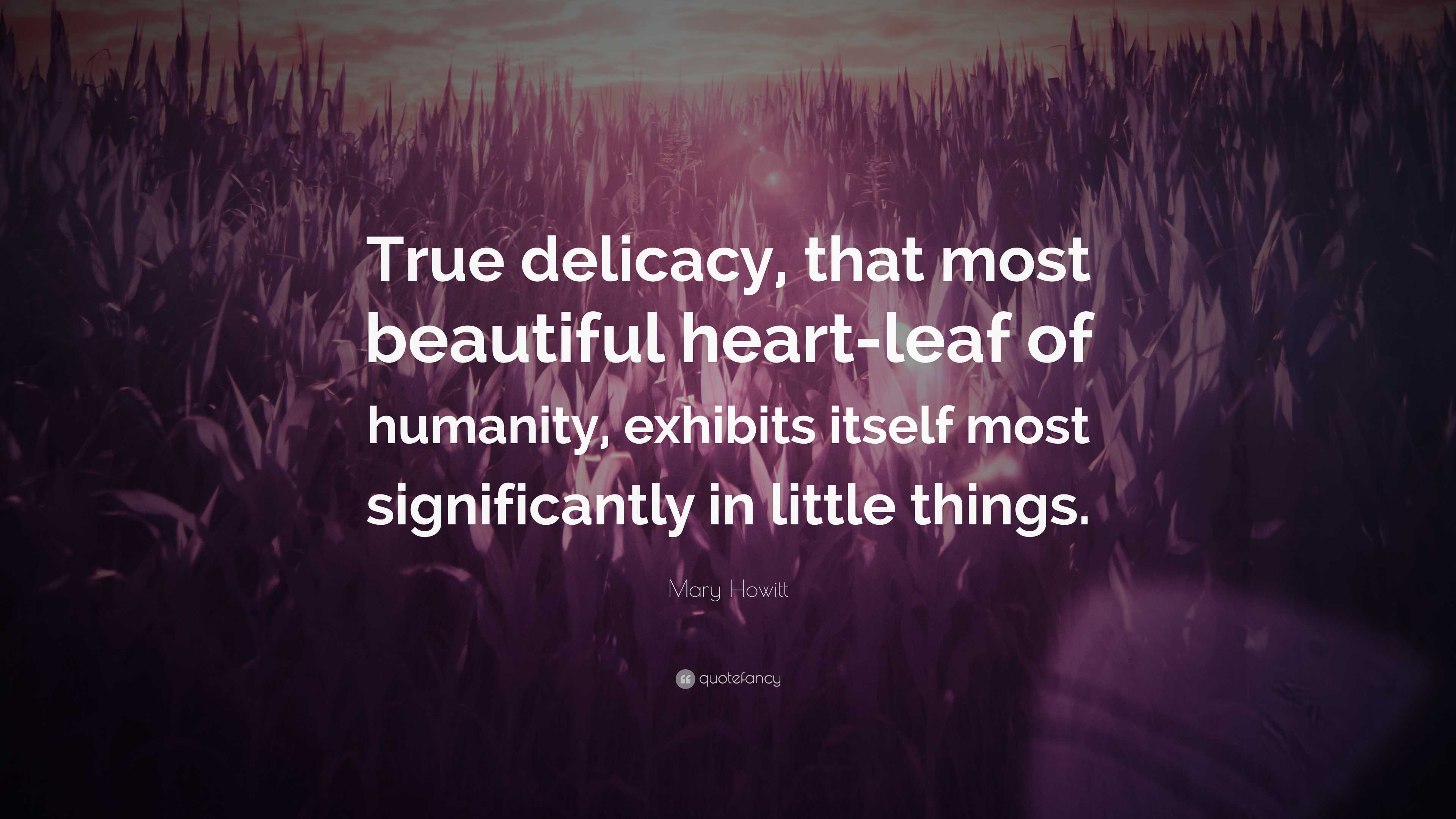 Mary Howitt Quote: “True delicacy, that most beautiful heart-leaf of  humanity, exhibits itself most significantly, image size:3840x2160
